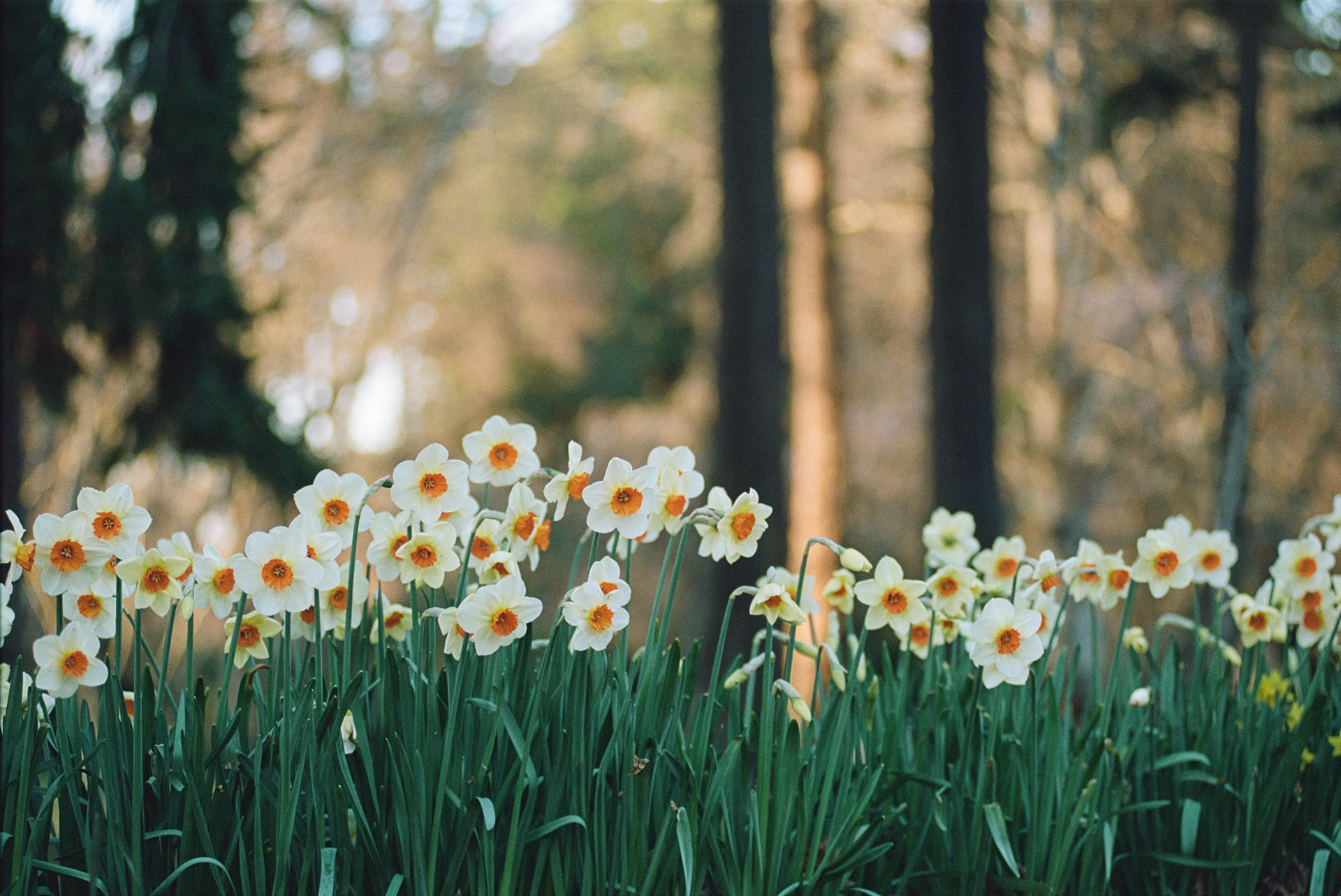 Shot on Kodak Portra 160