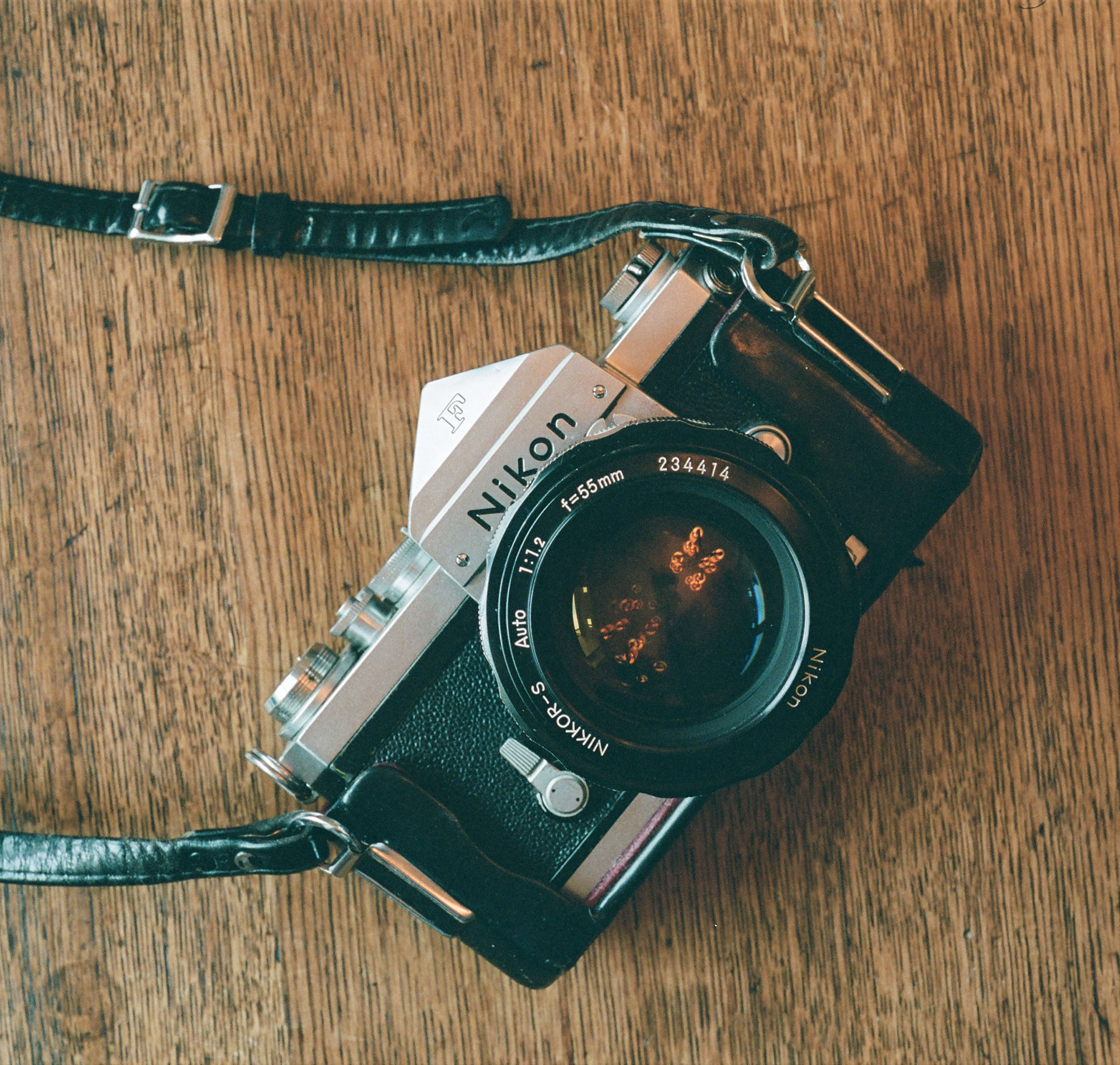 Nikon F shot on Olympus OM-2 w/ 50mm f/3.5 Macro, Kodak Portra 400, 2025-03-22