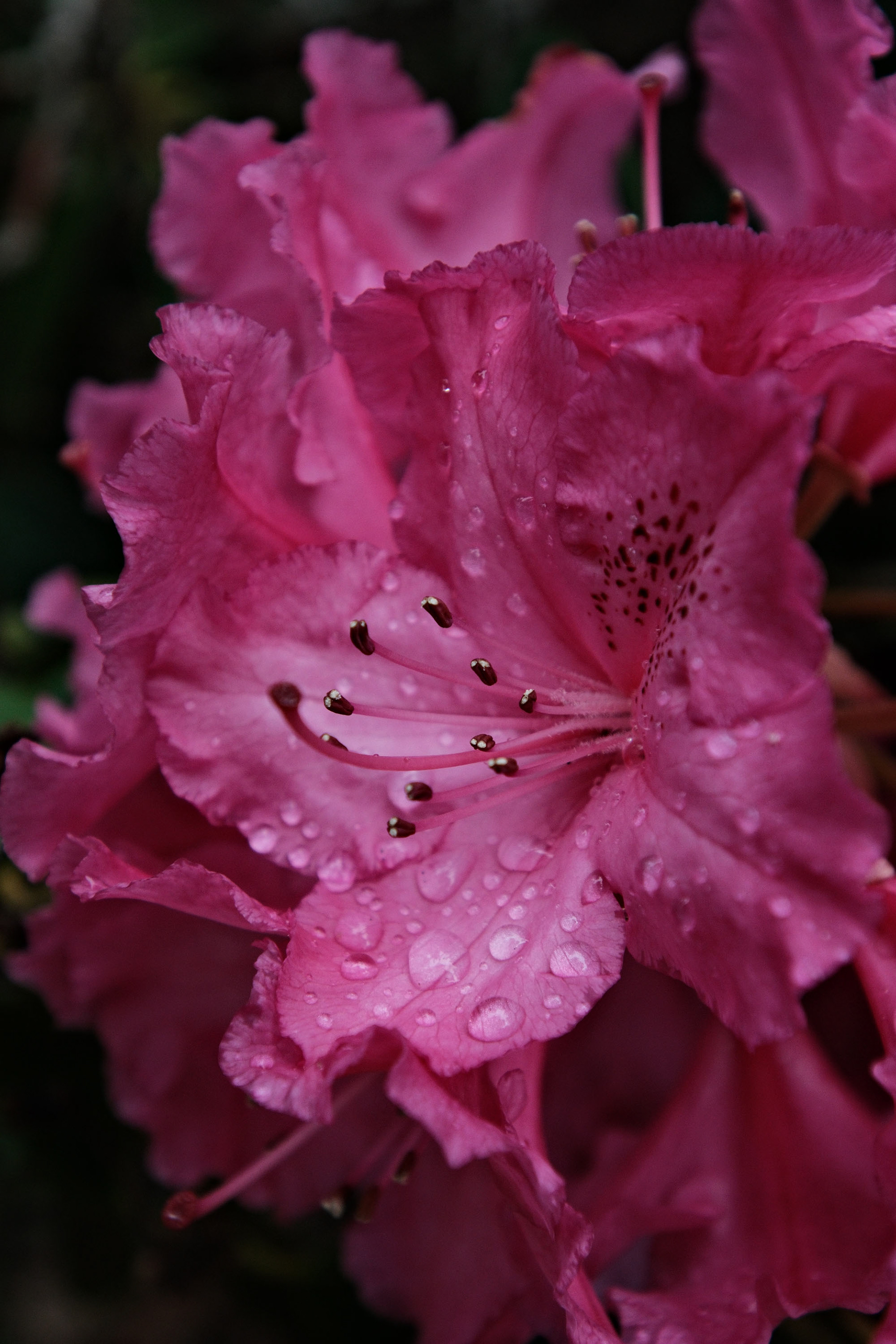 Shot on Fujiflm X-T5