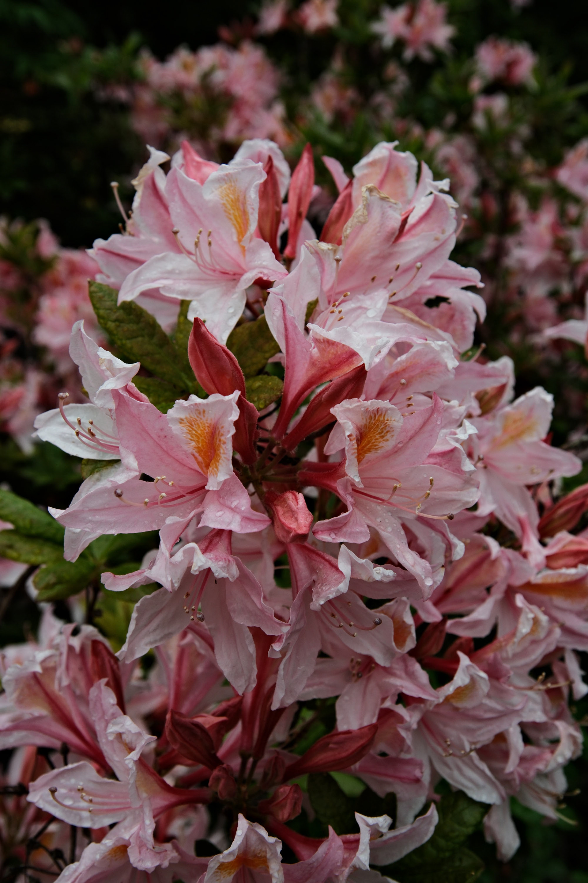 Shot on Fujiflm X-T5