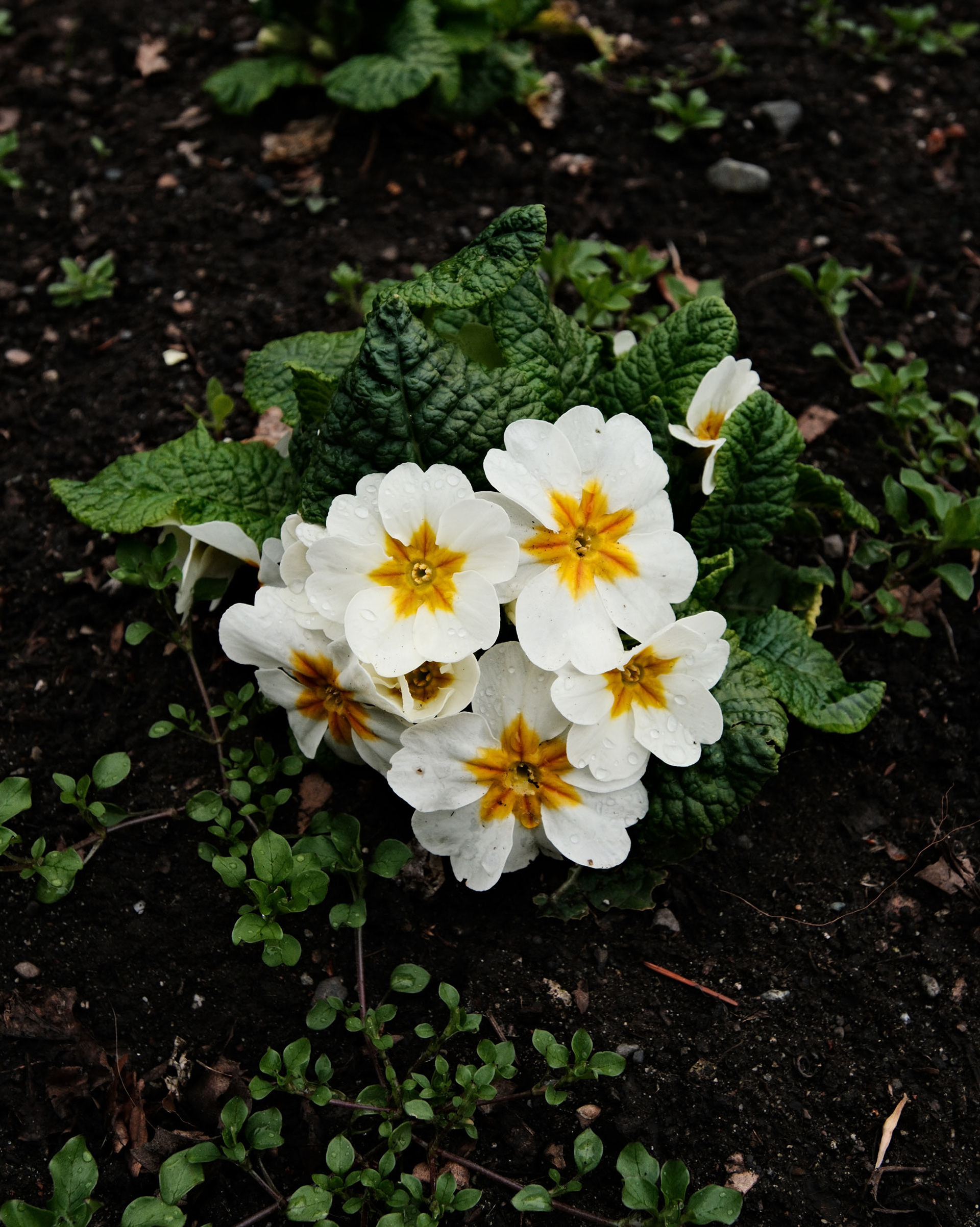 Shot on Fujiflm X-T5