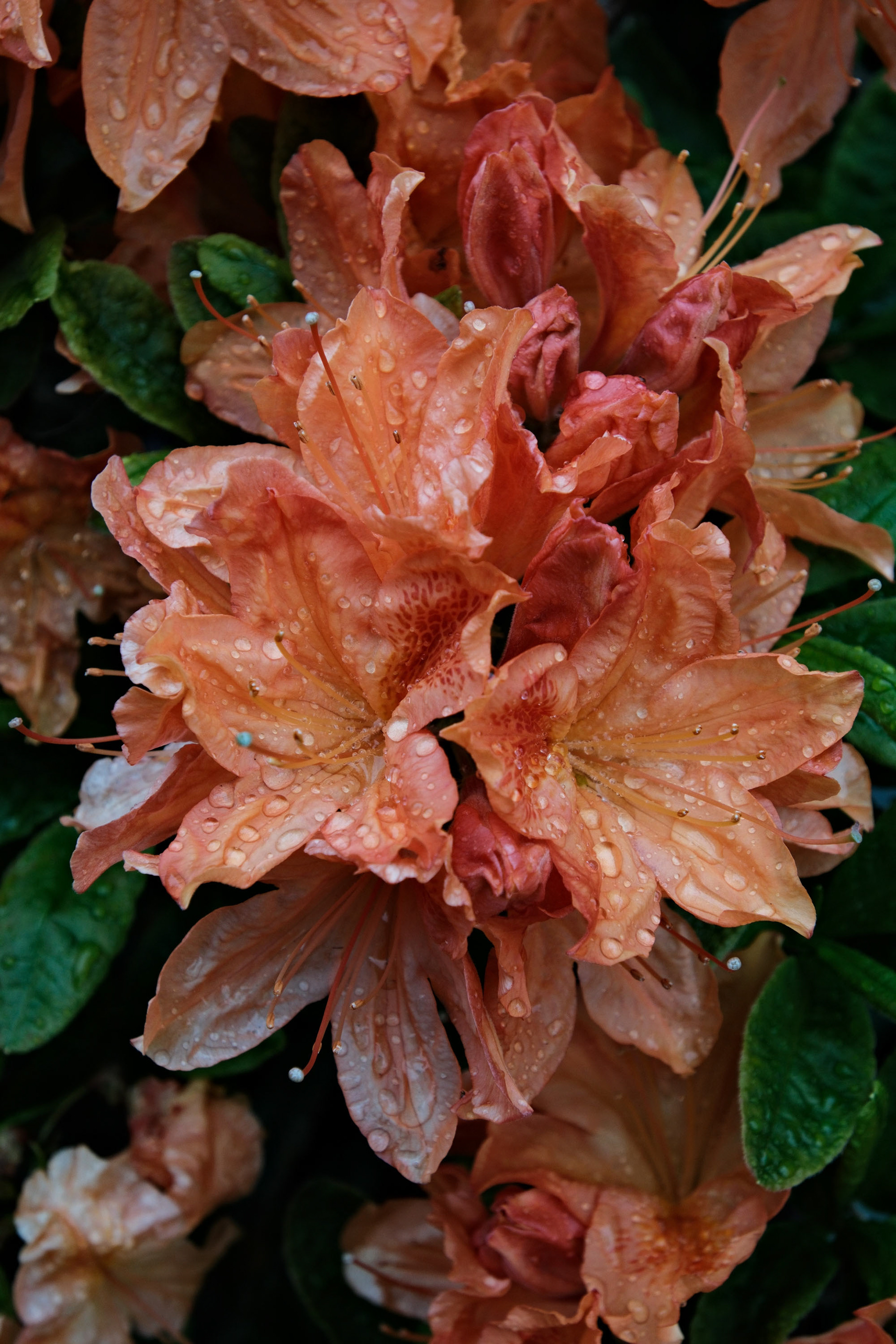 Shot on Fujiflm X-T5