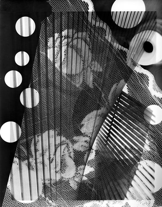 Dots and Lines on Roses