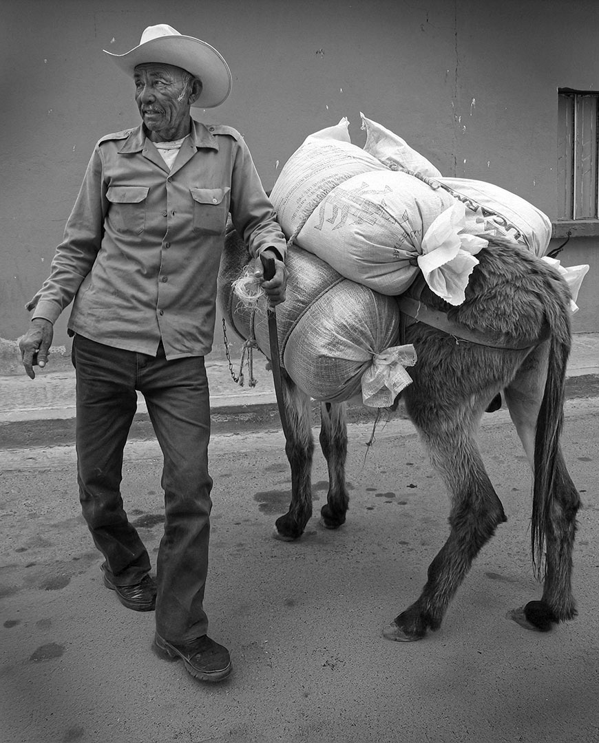 Donkey Man