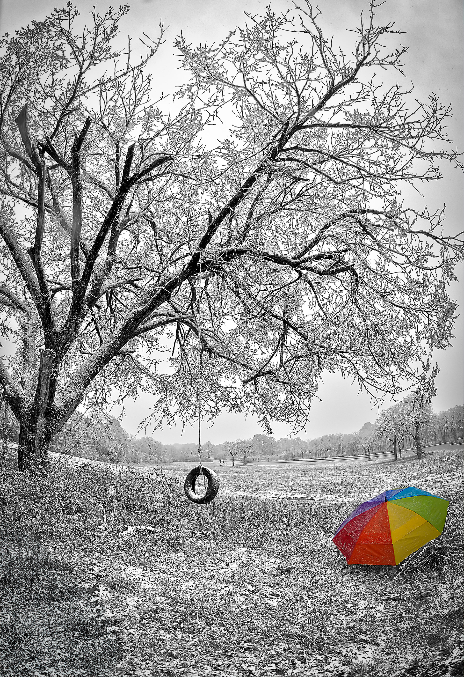 The Last Tree Swing