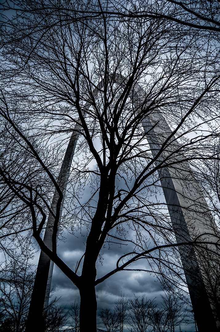 Arch and Tree