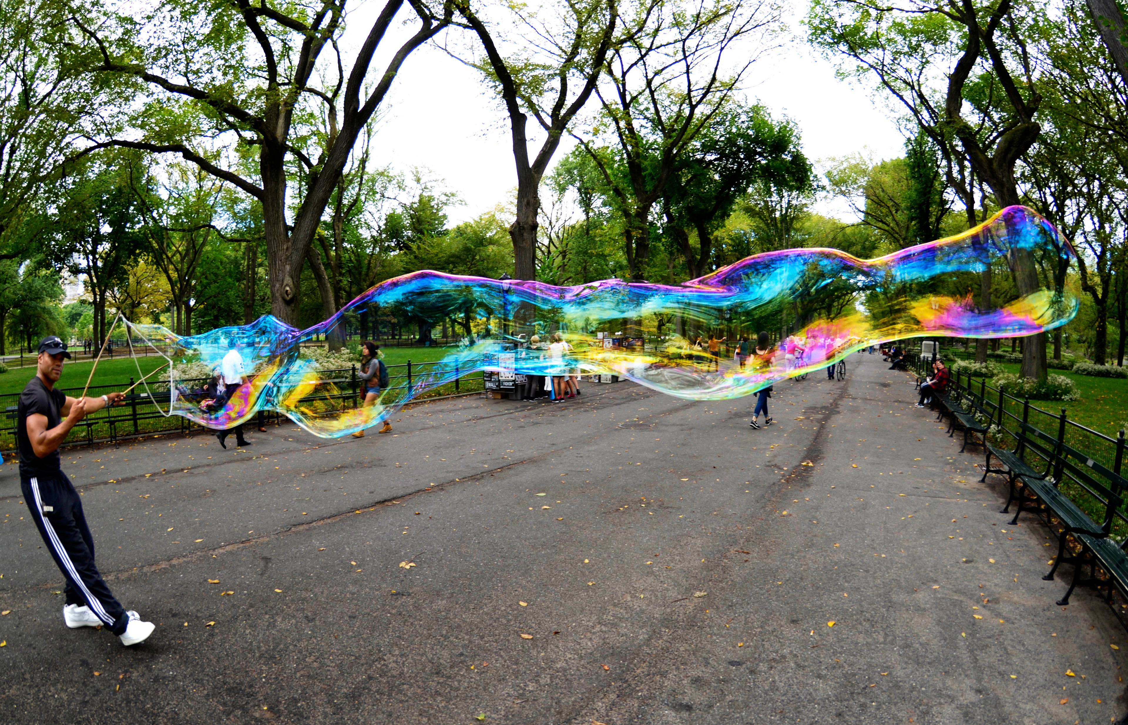 Bubble King Central Park