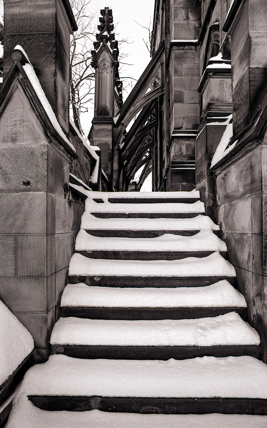 Spring Grove Cemetery
