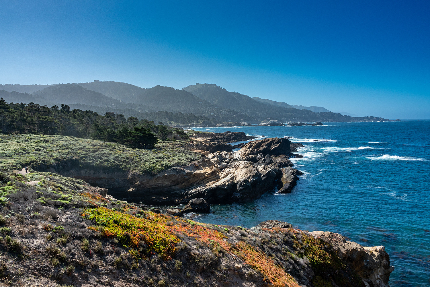 Point Lobos