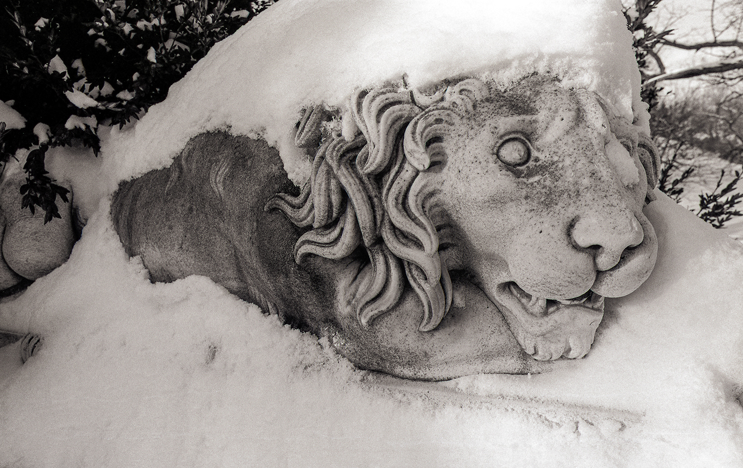 Spring Grove Cemetery