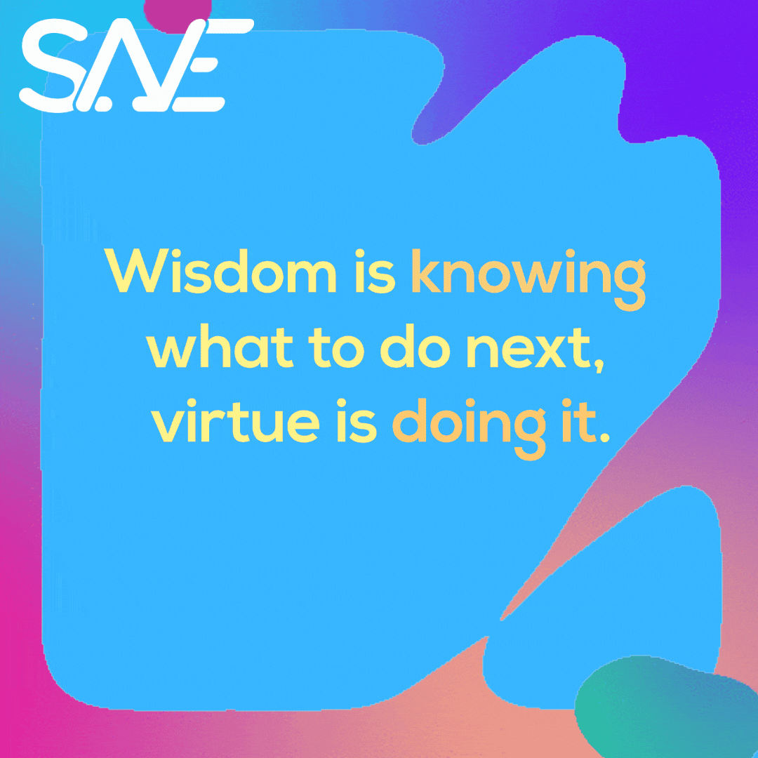 Social post promoting SANE.