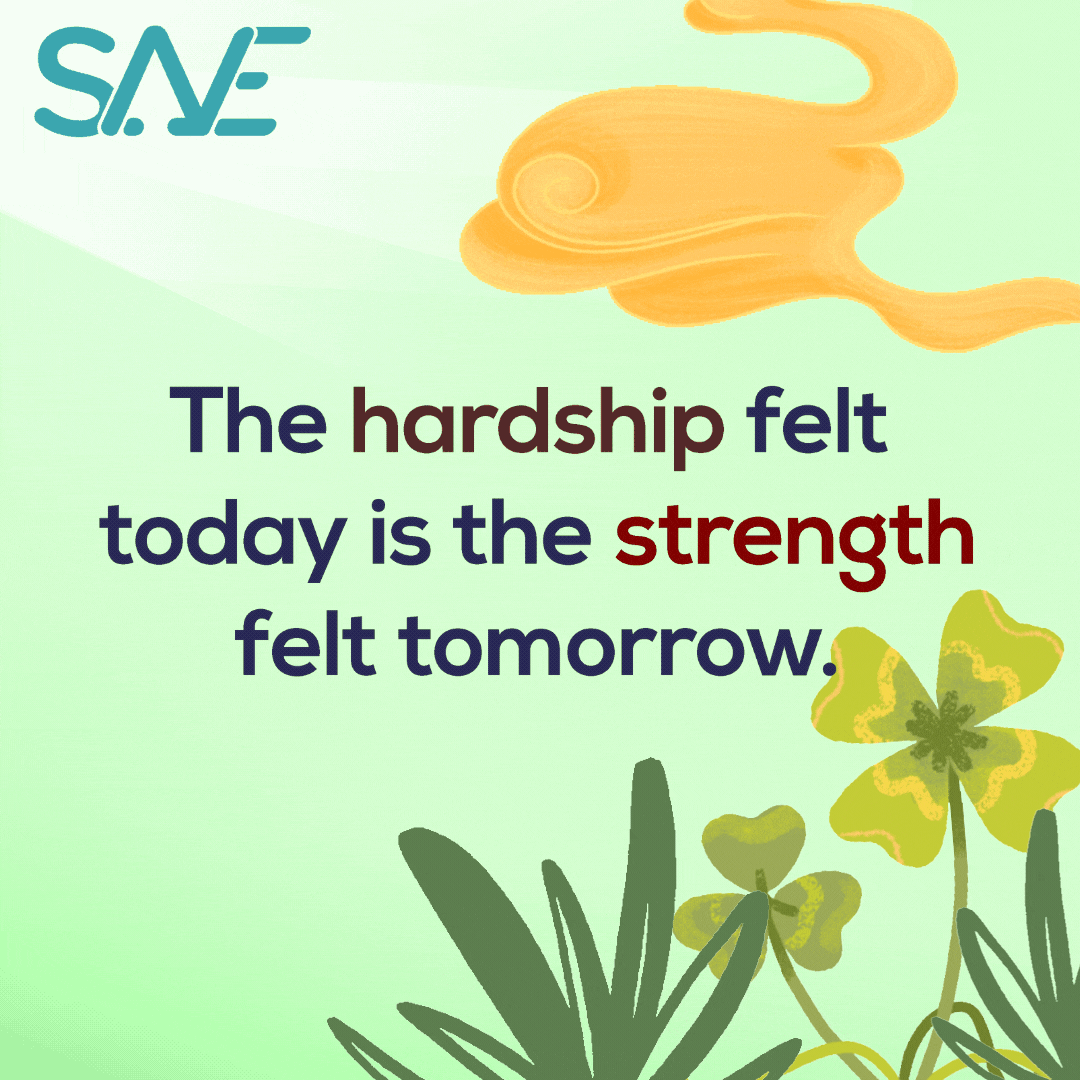 Social post promoting SANE.