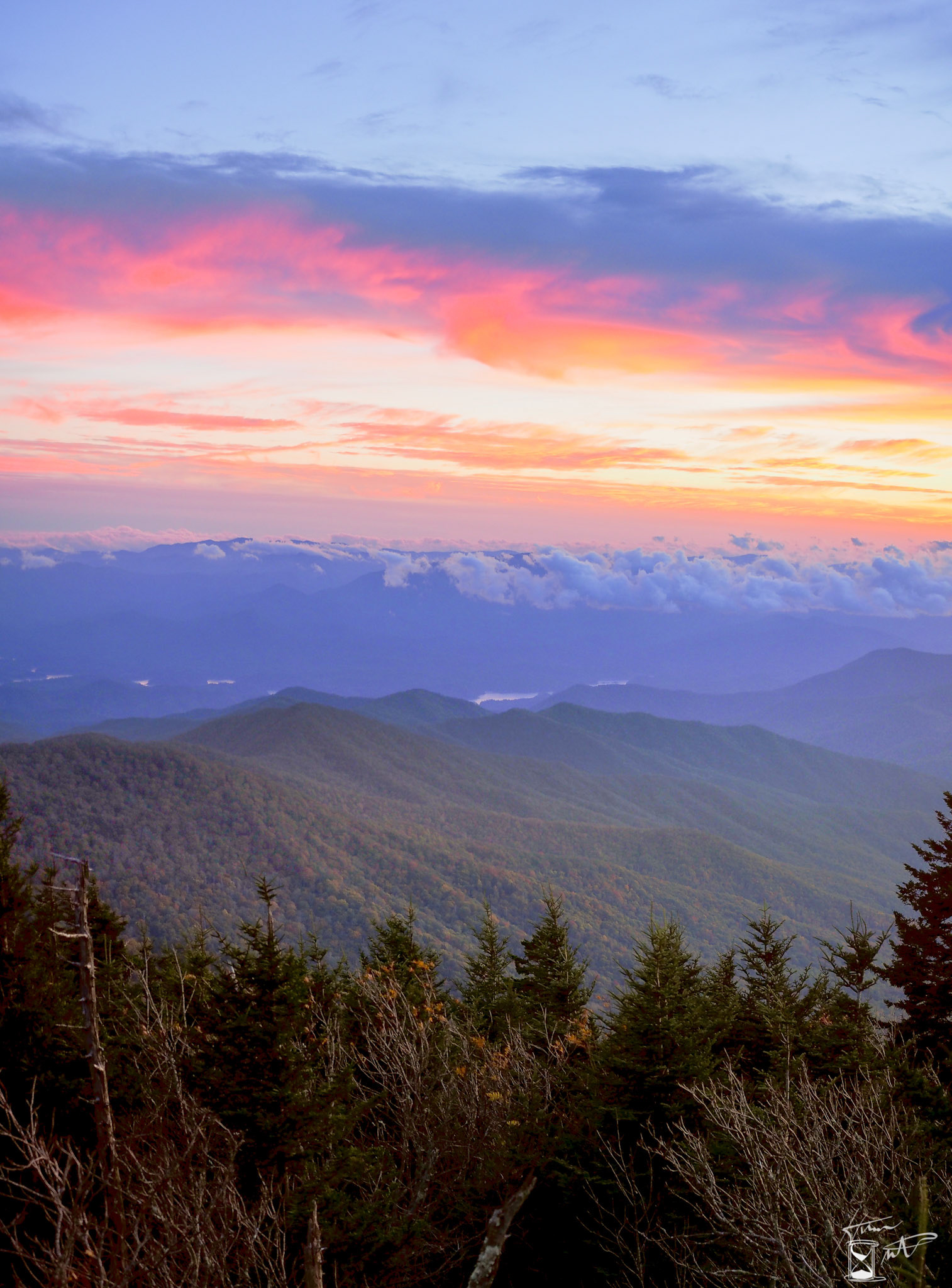 In the Clouds, Clingmans Dome, Smoky Mountains