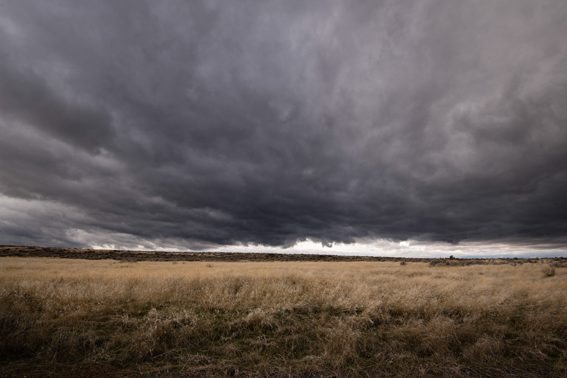 Tule Lake National Wildlife Refuge, Oregon