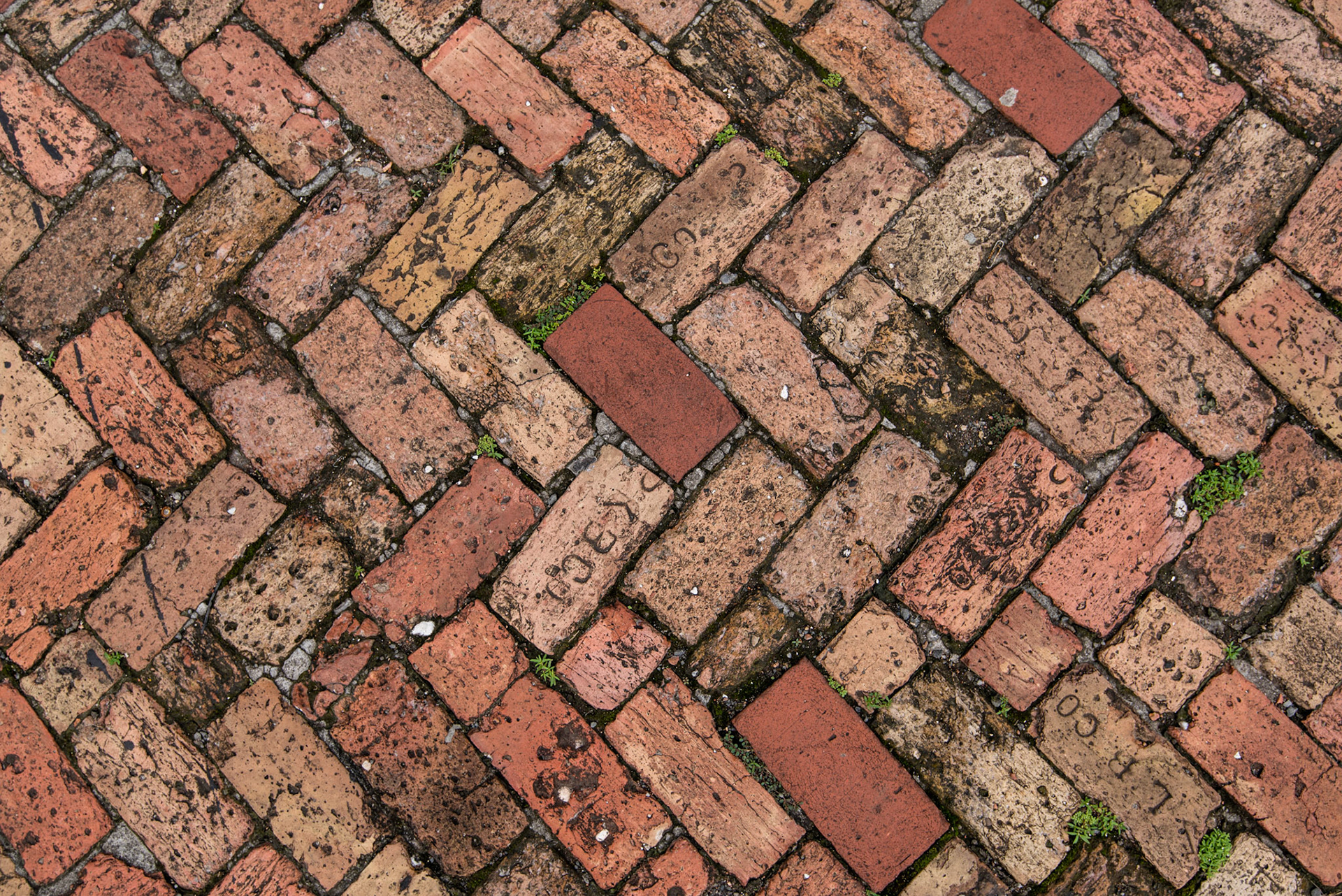 The Carenage, Grenada