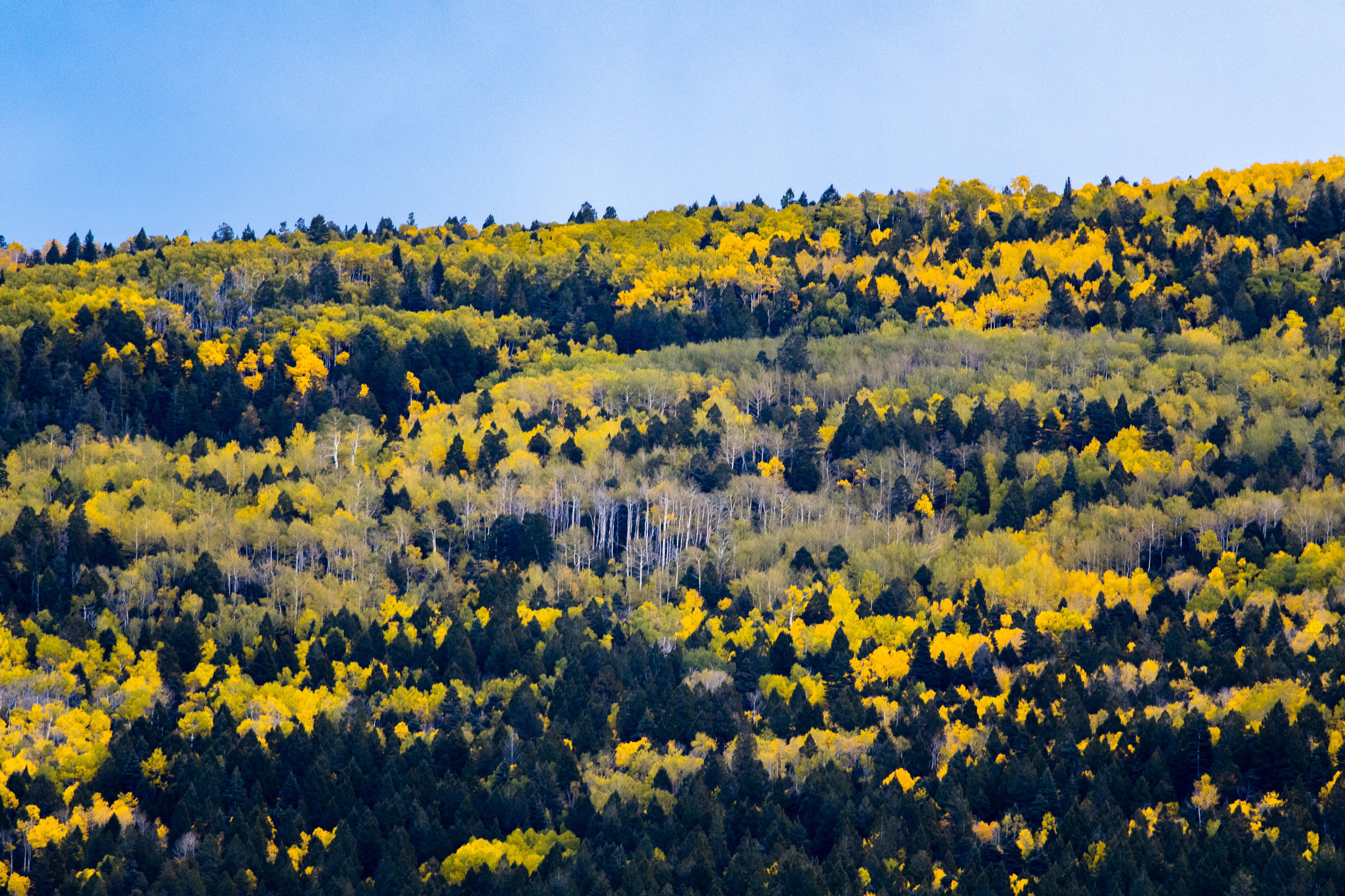 High Road to Taos, New Mexico