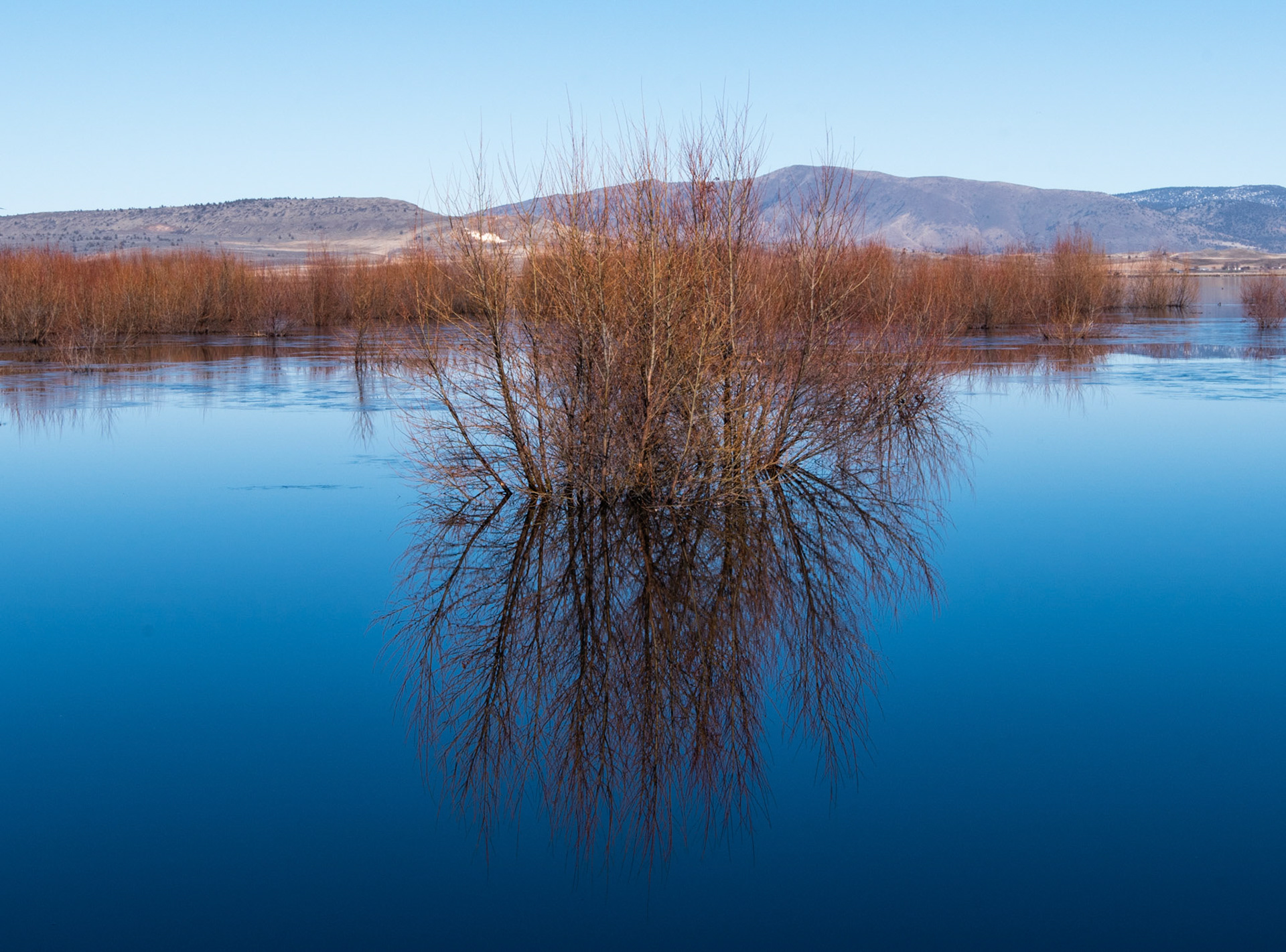 Lower Klamath National Wildlife Refuge, Oregon