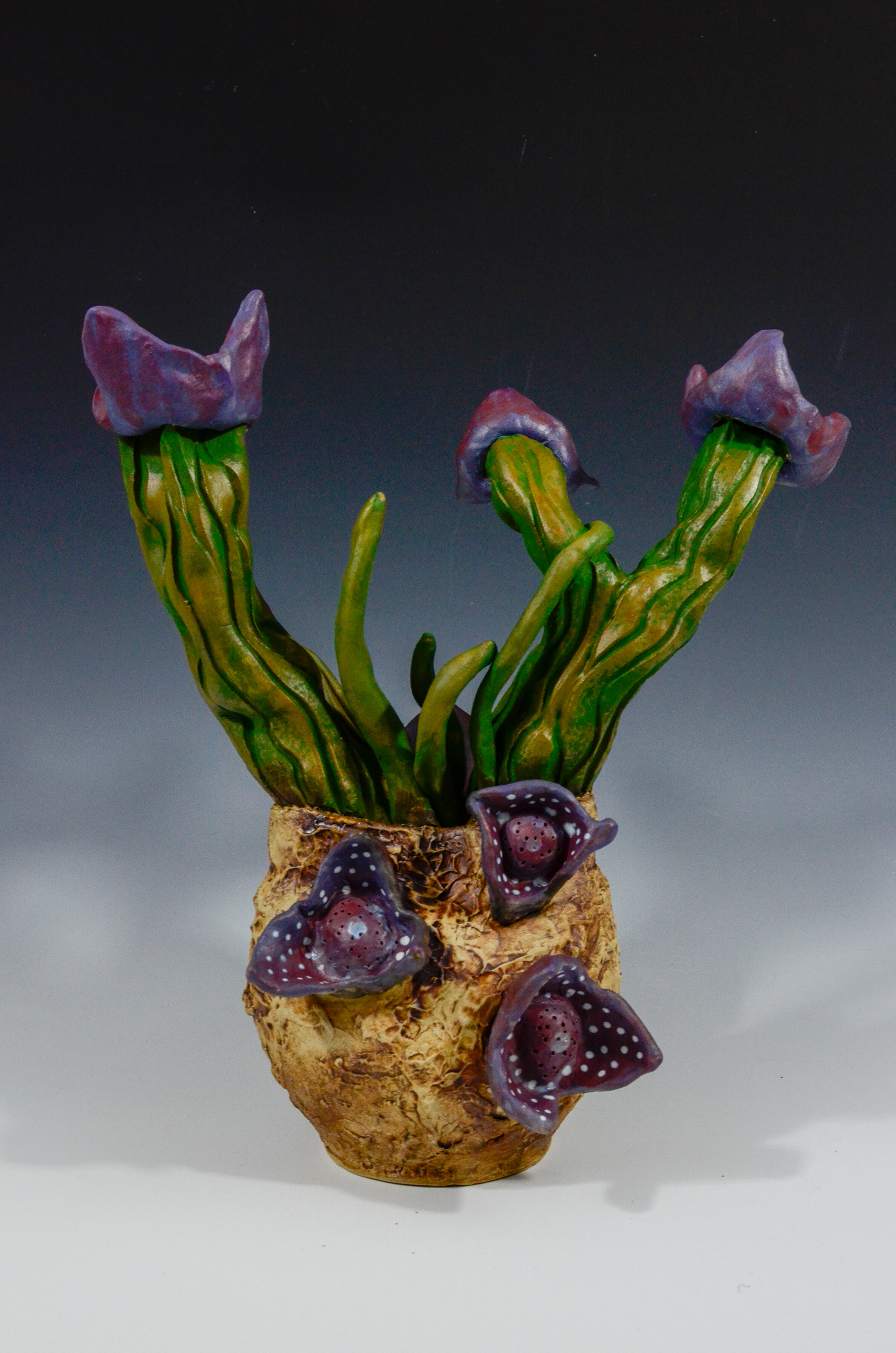 Hexastylis Heterophylla [Reenvisioned] , 2024