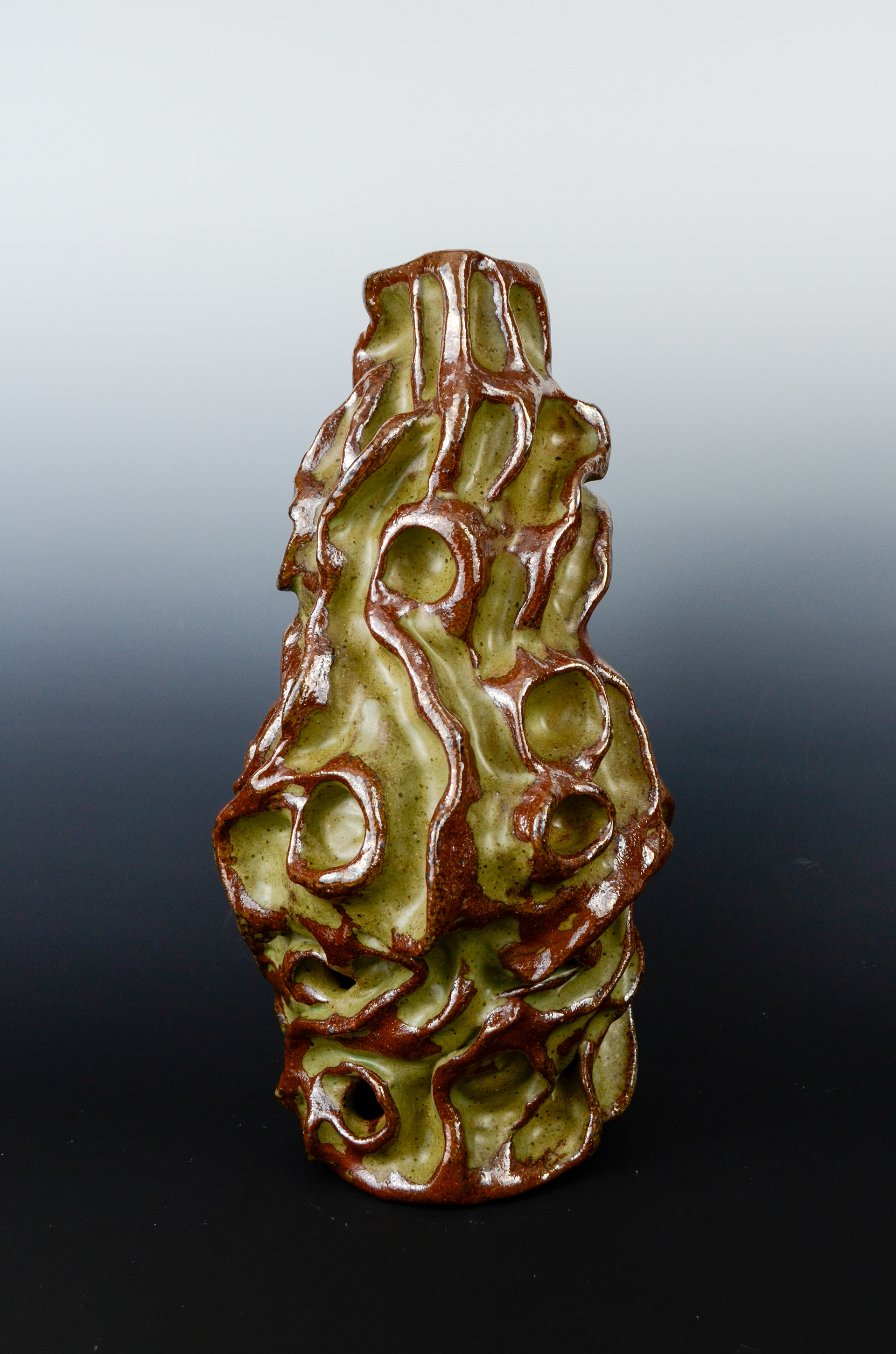 Morel Growth, 2024 (soda fired)
