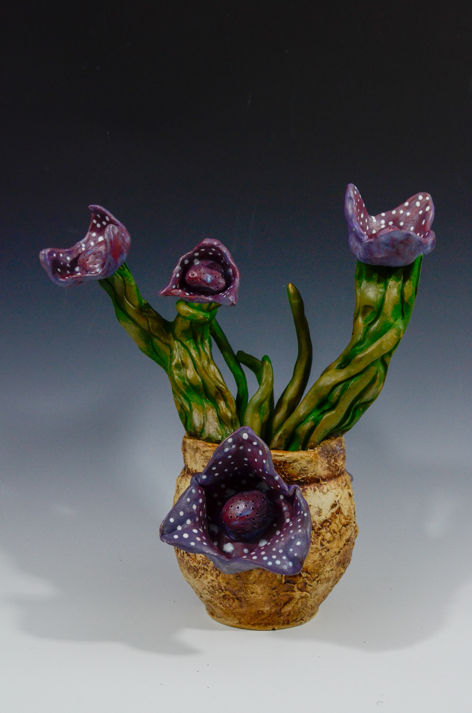 Hexastylis Heterophylla [Reenvisioned] , 2024