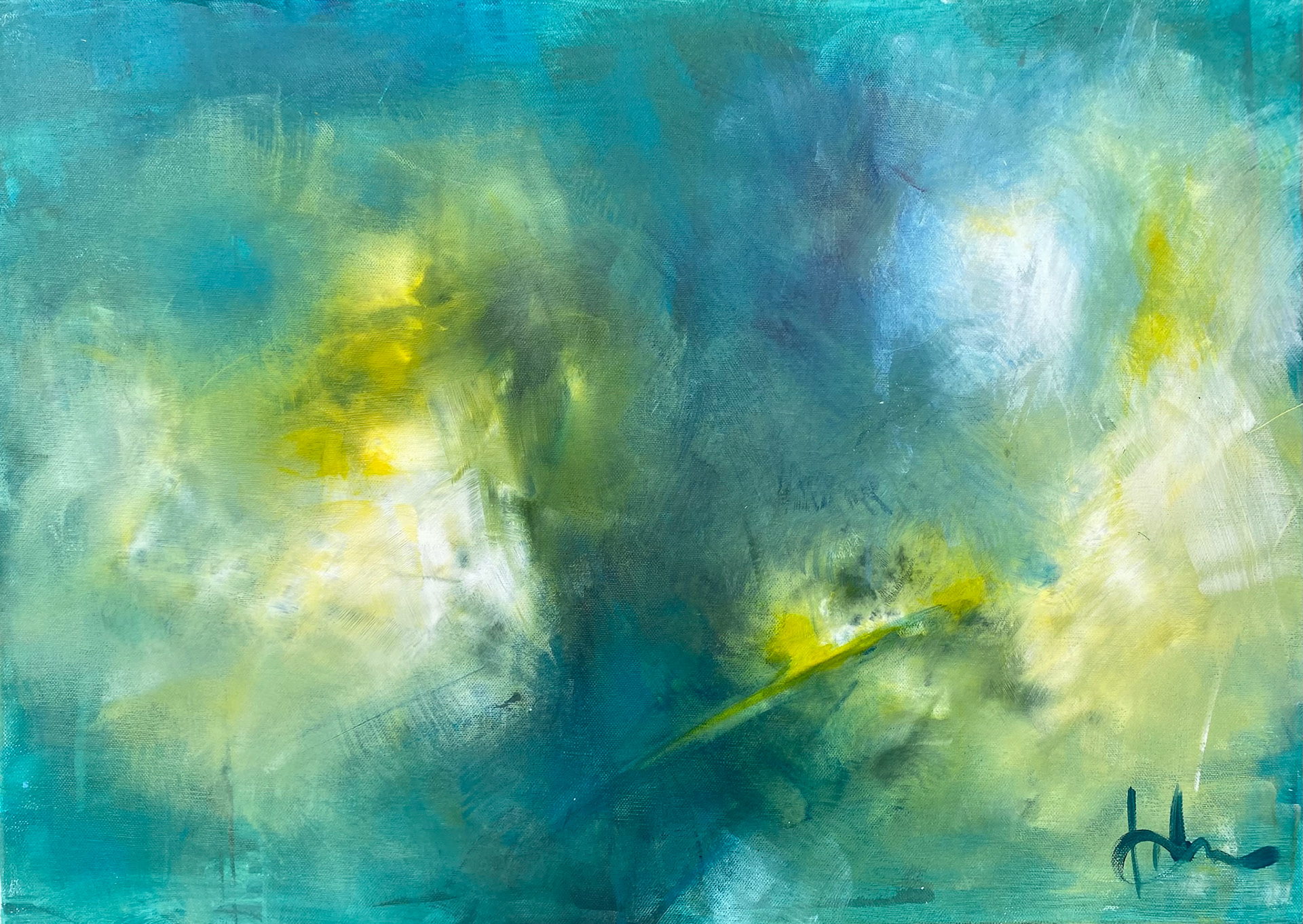 Turtle, 50x70, €700