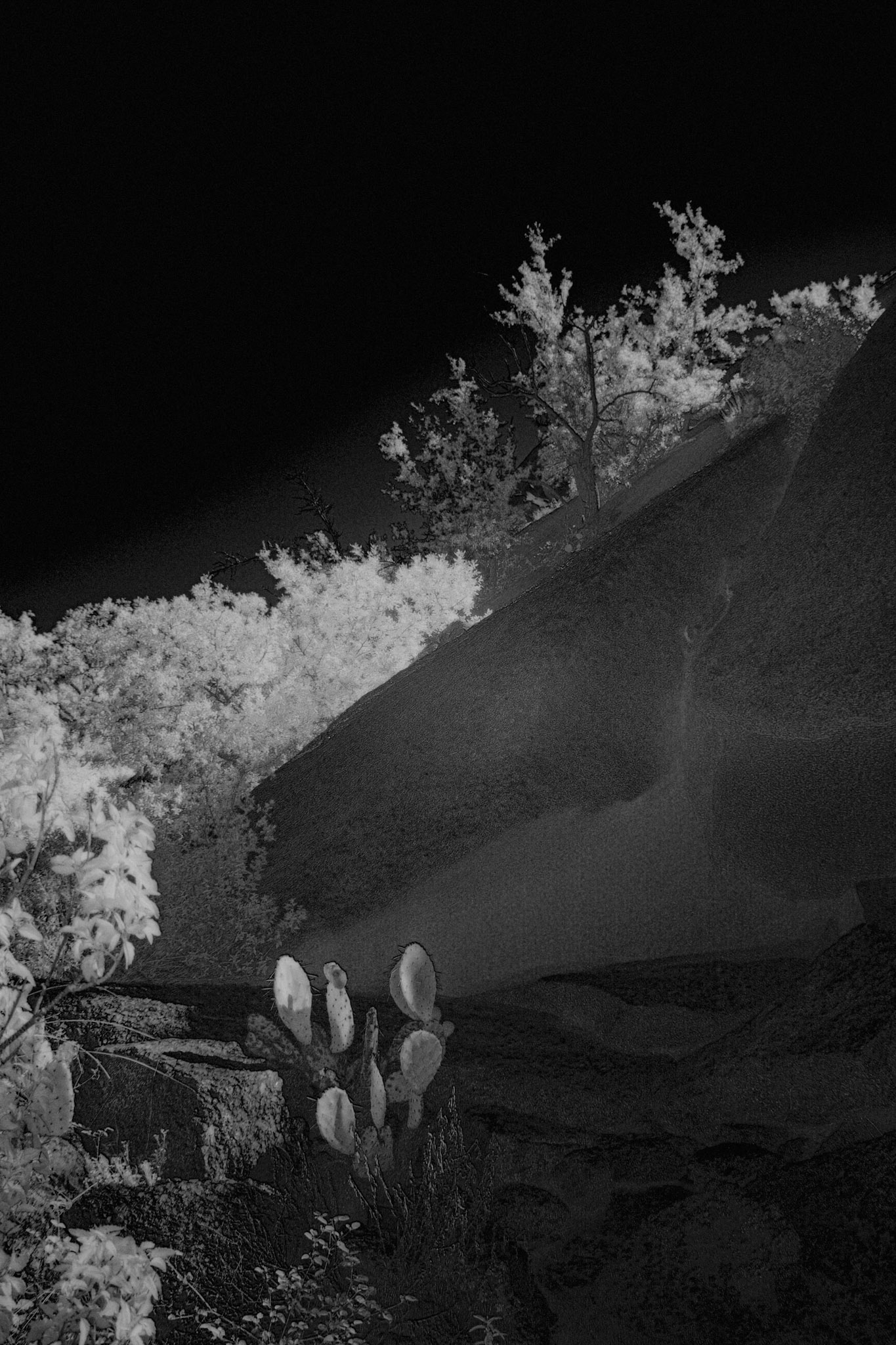 Enchanted Rock State Natural Area