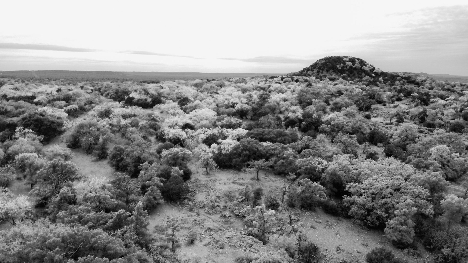 Hwy 16, North of Fredricksburg, Texas