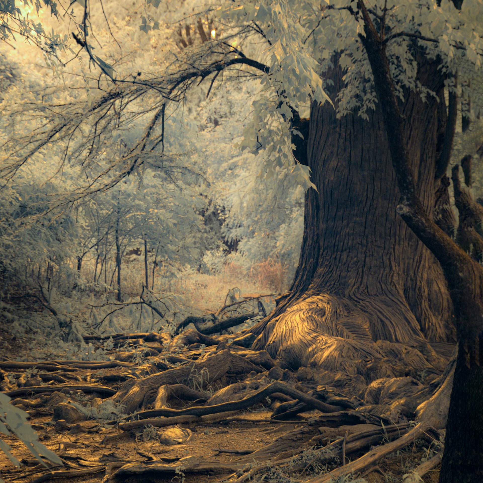 Guadalupe State Park