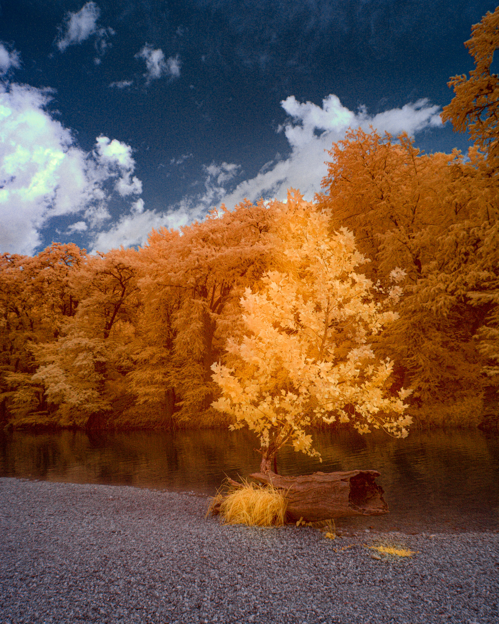 Guadalupe State Park