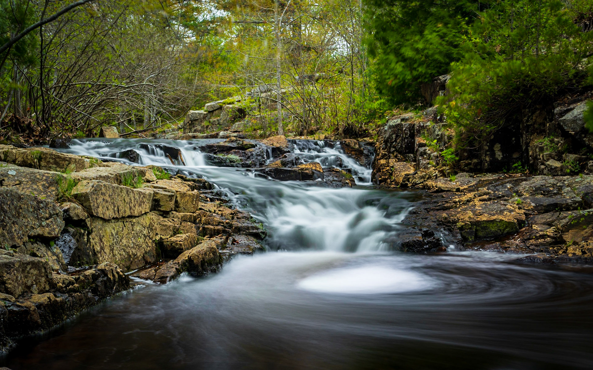 Duck Brook, Acadia National Park