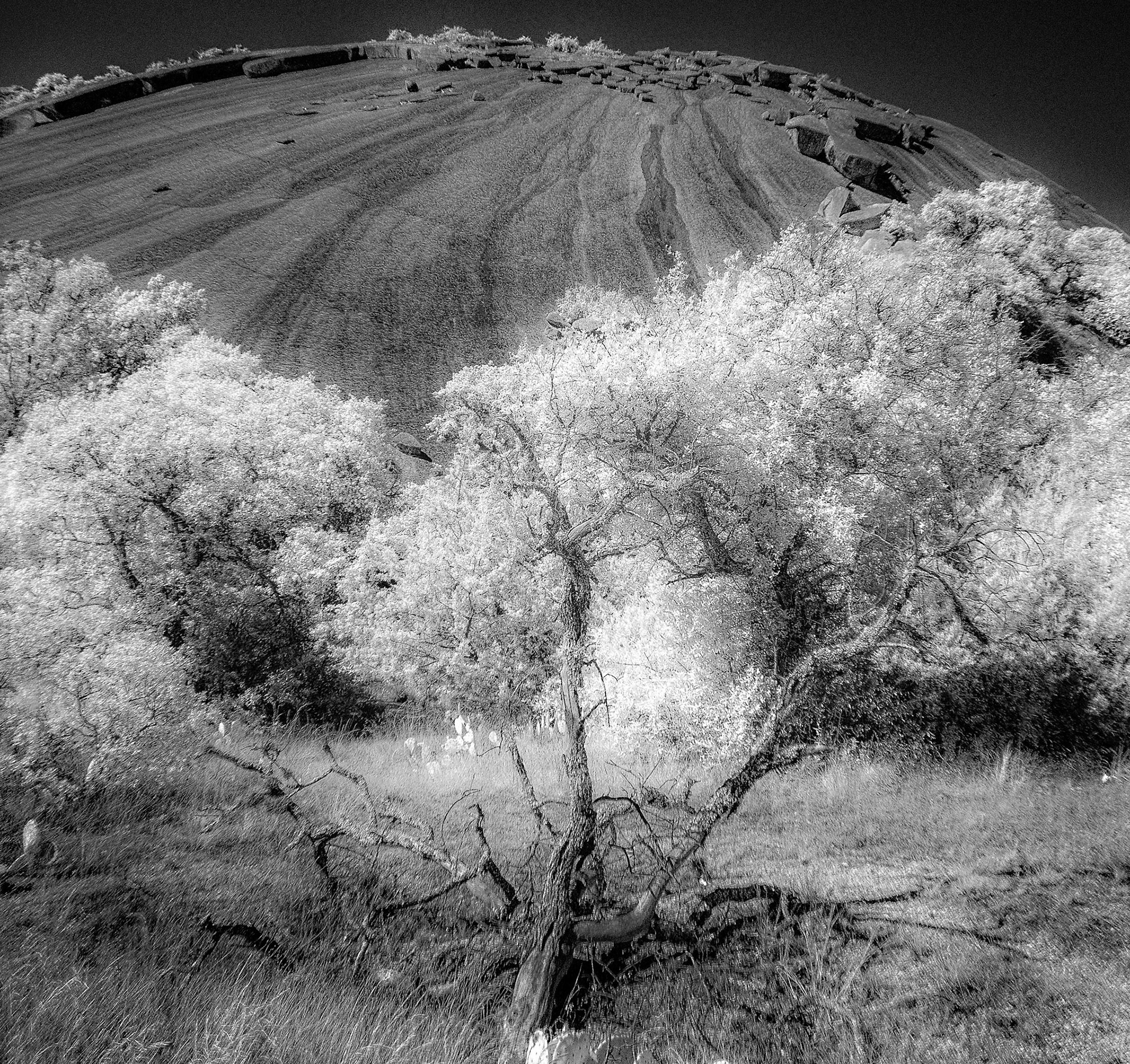 Enchanted Rock State Natural Area