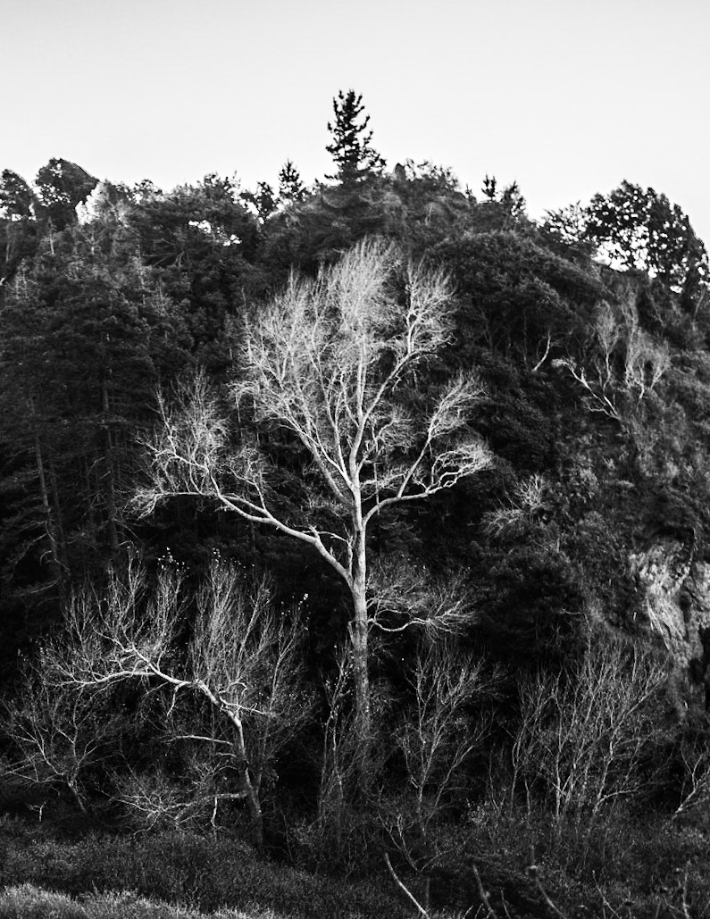 Partington Cove, Big Sur, California