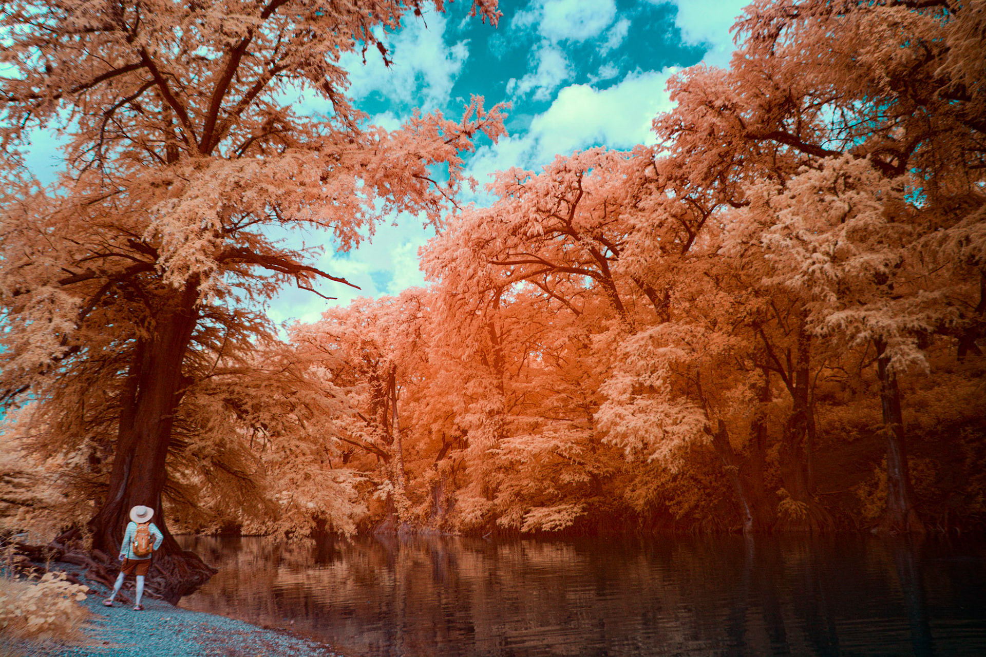 Guadalupe State Park