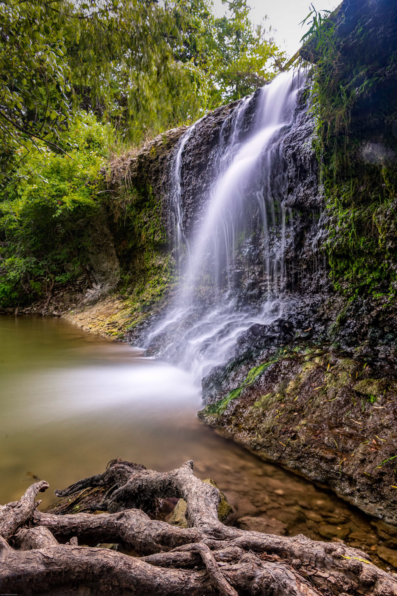 Brushy Creek, Austin, Texas