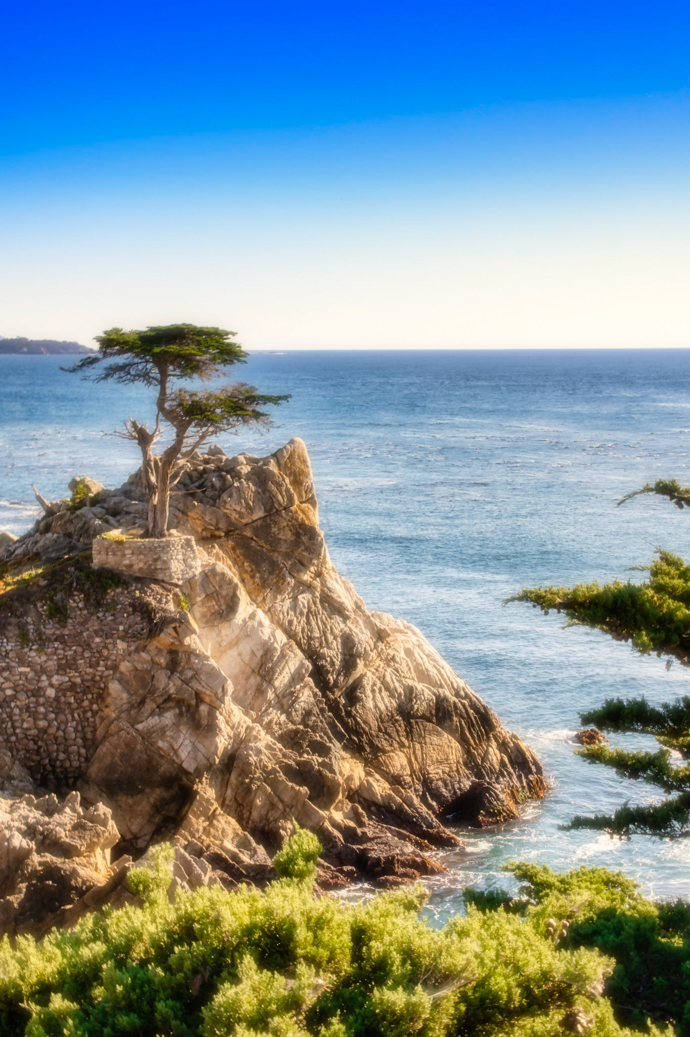 The Lone Pine, Monterey California