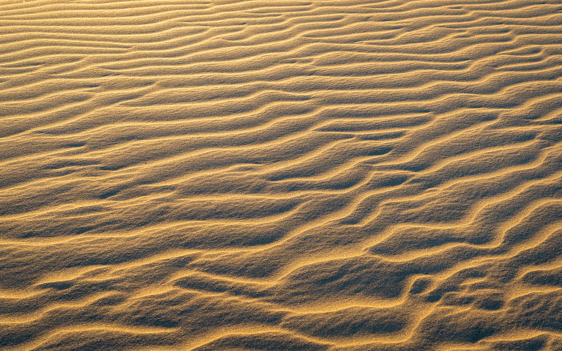 Dunes of Maspalomas