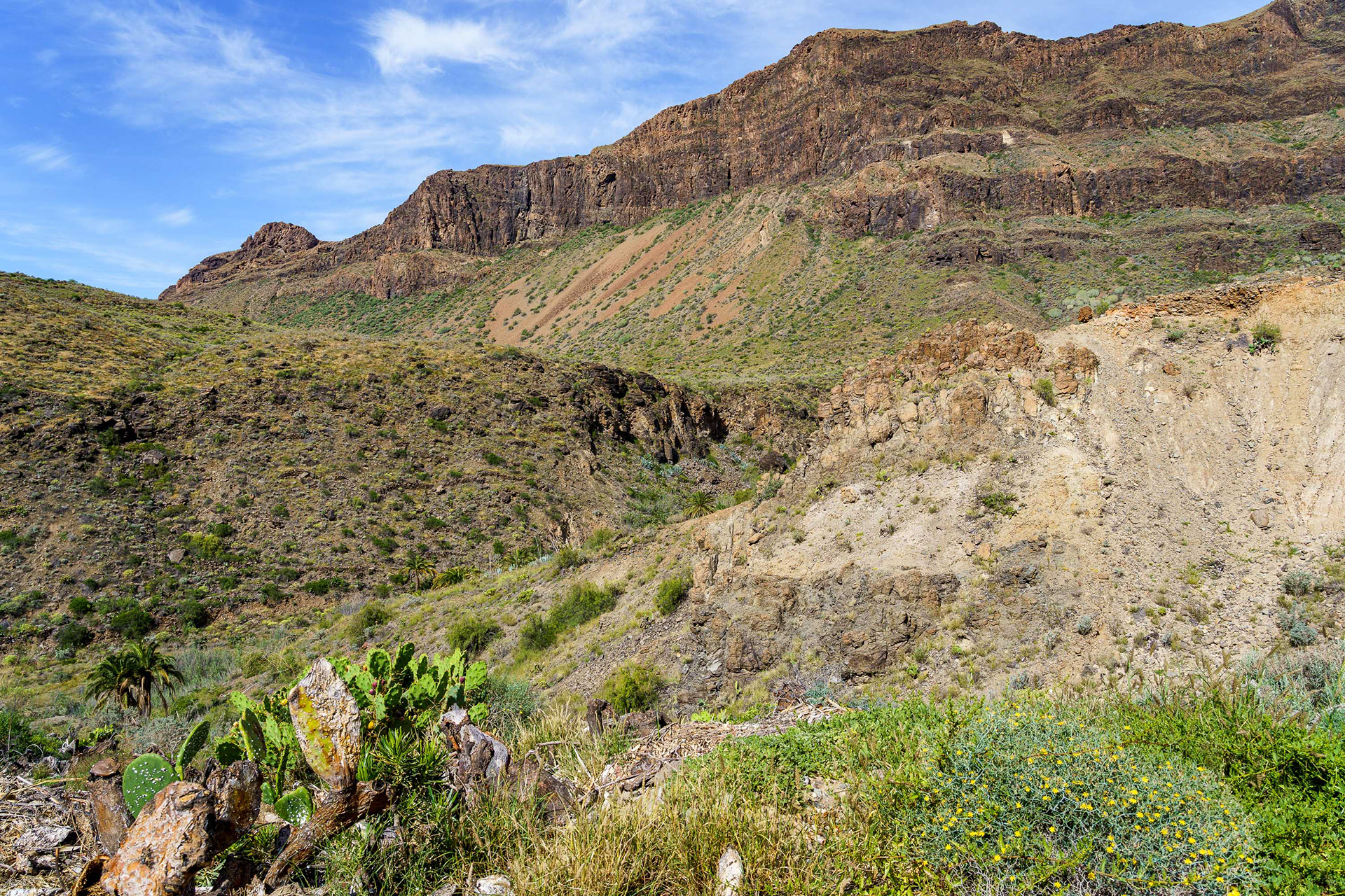 Barranco de Fataga