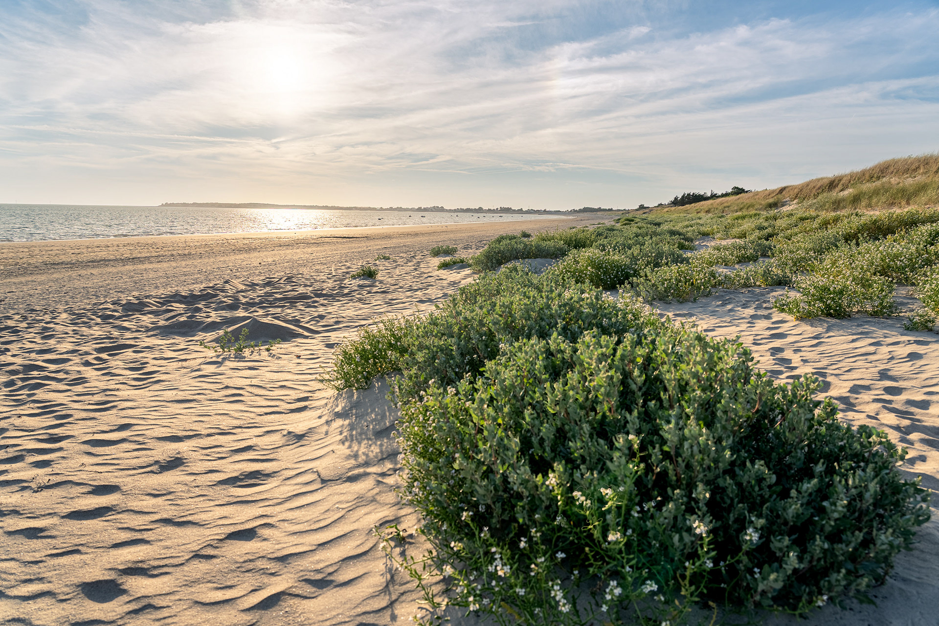 Ile de Noirmoutier