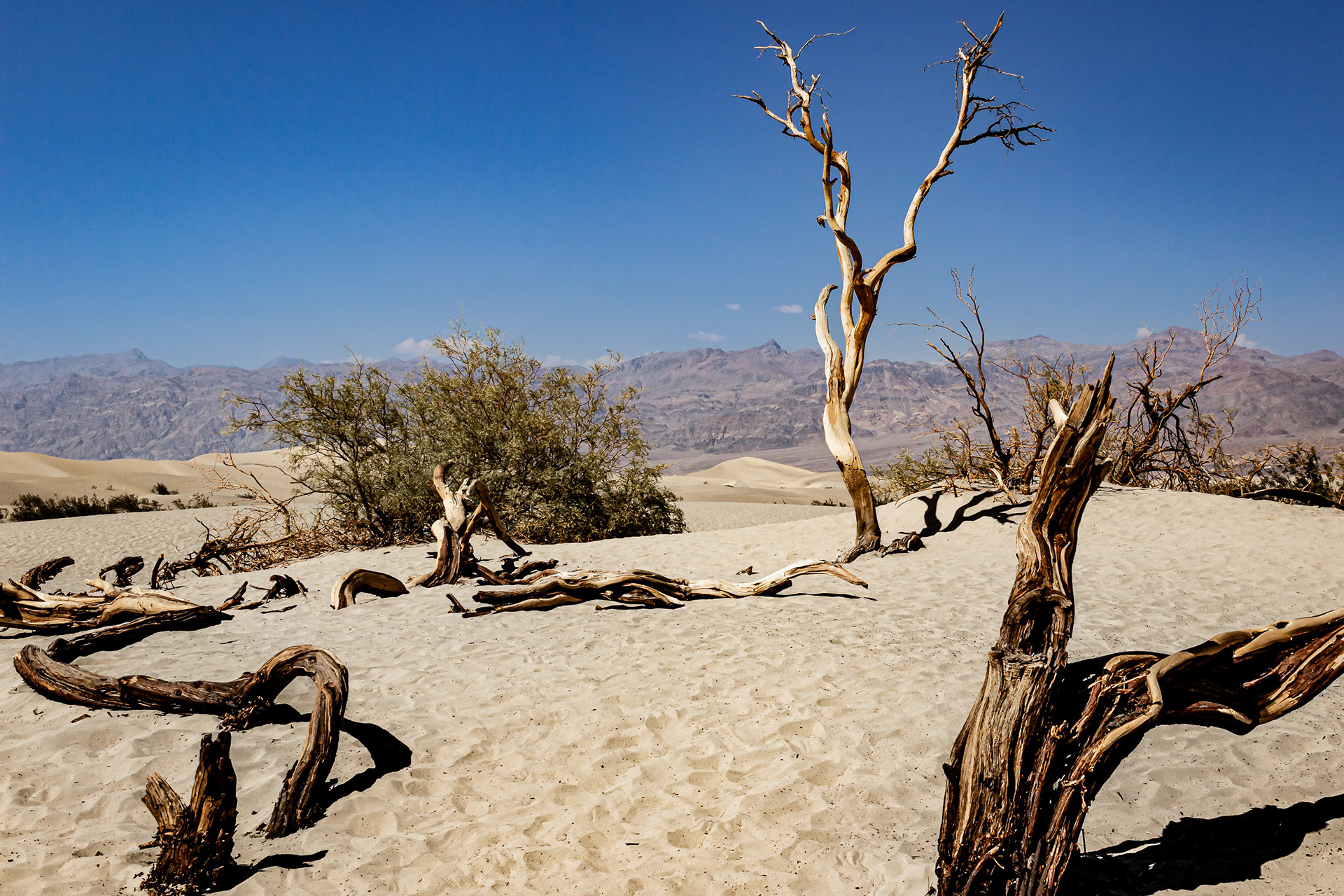 Death Valley