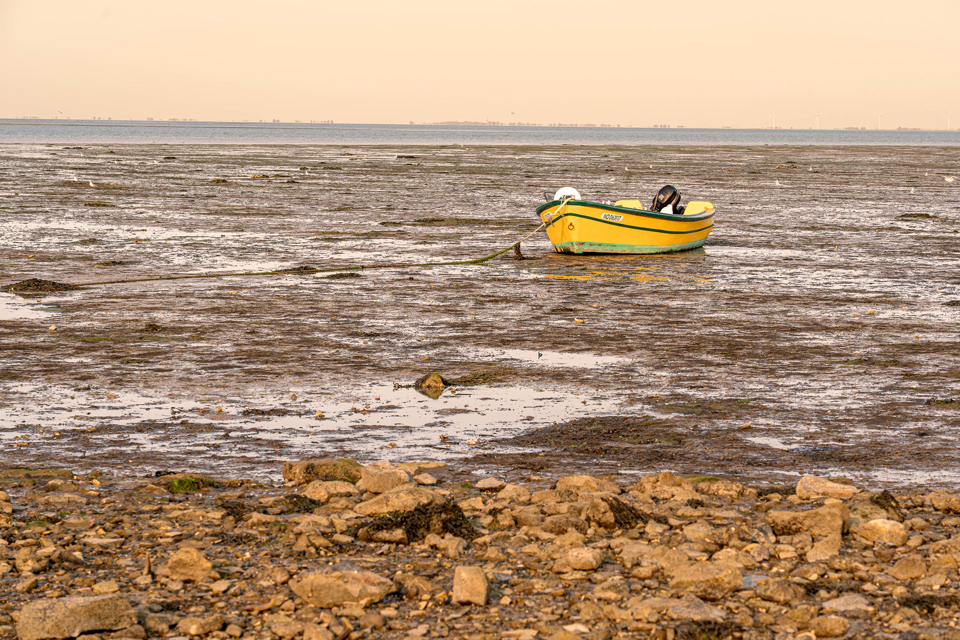 Ile de Noirmoutier