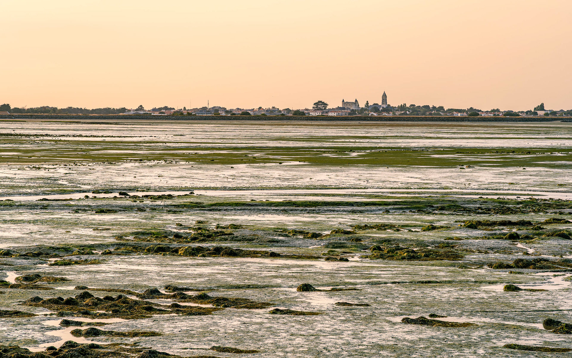 Ile de Noirmoutier