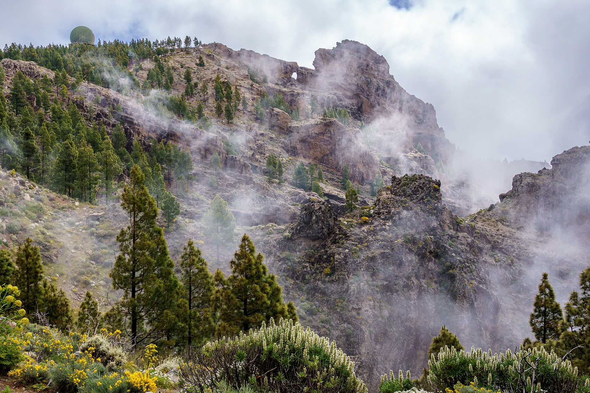 Pico de las Nieves