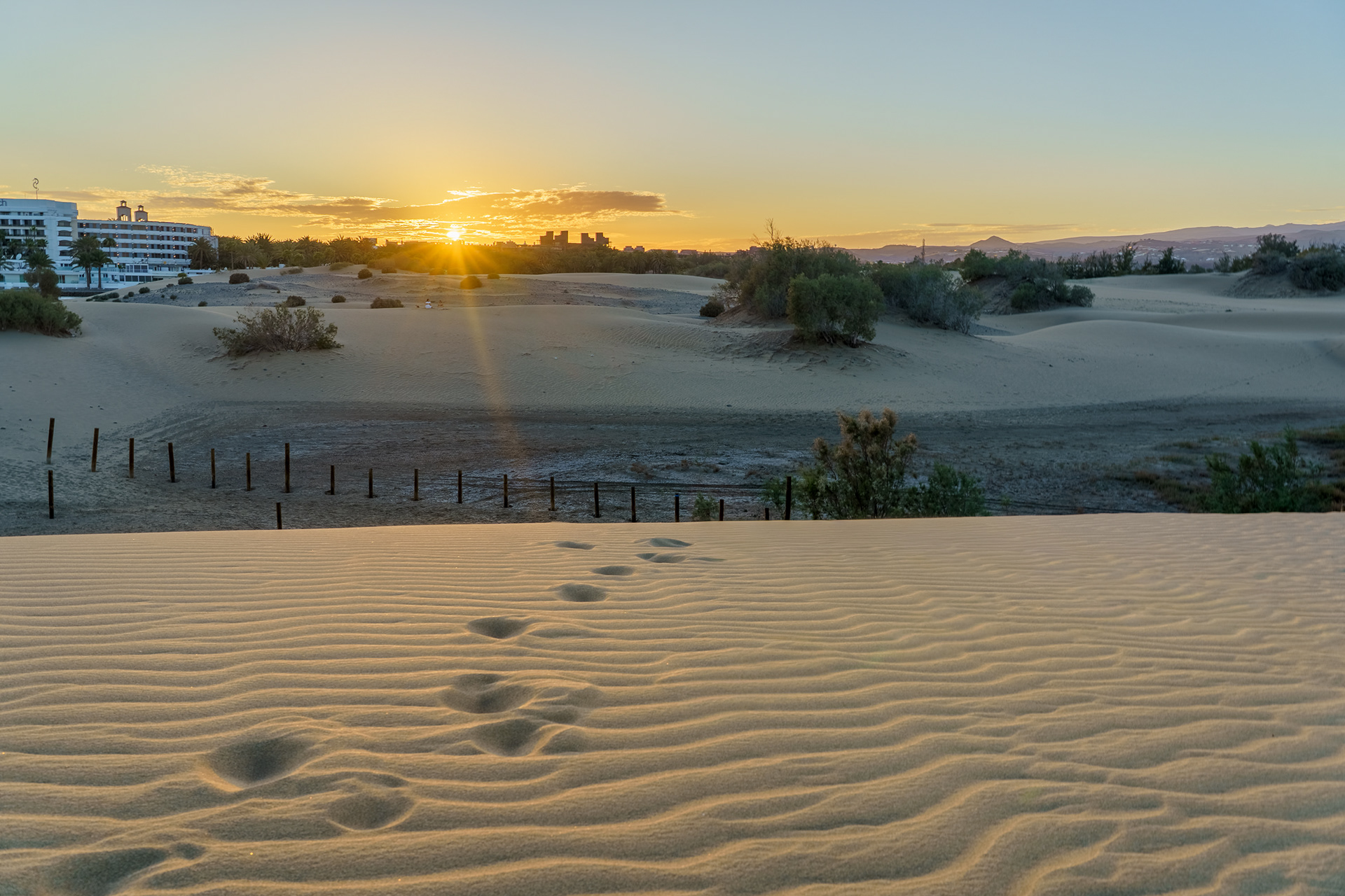 Dunes of Maspalomas