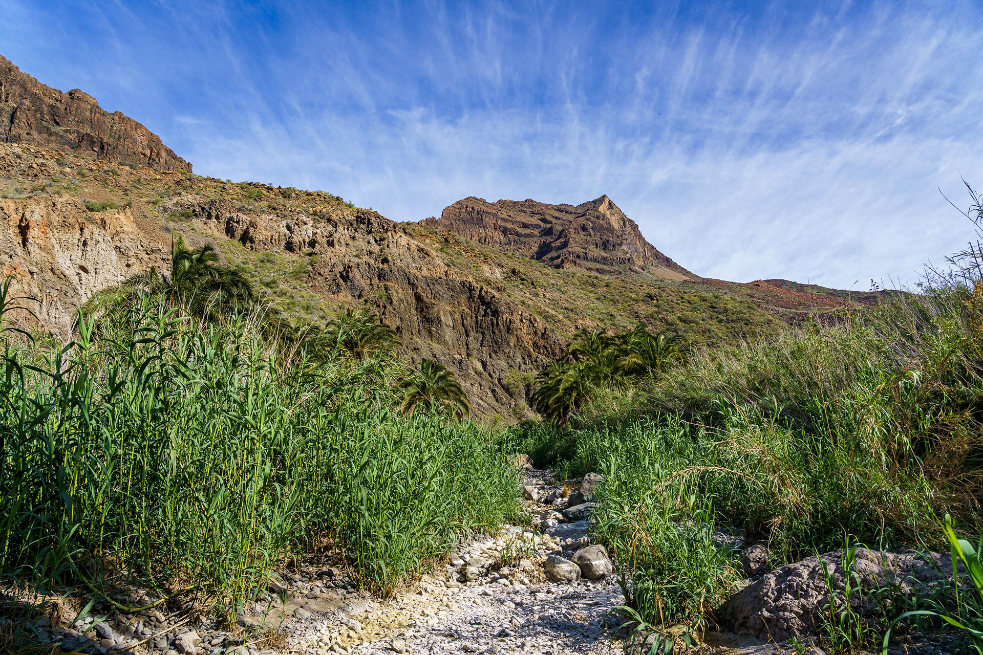Barranco de Fataga