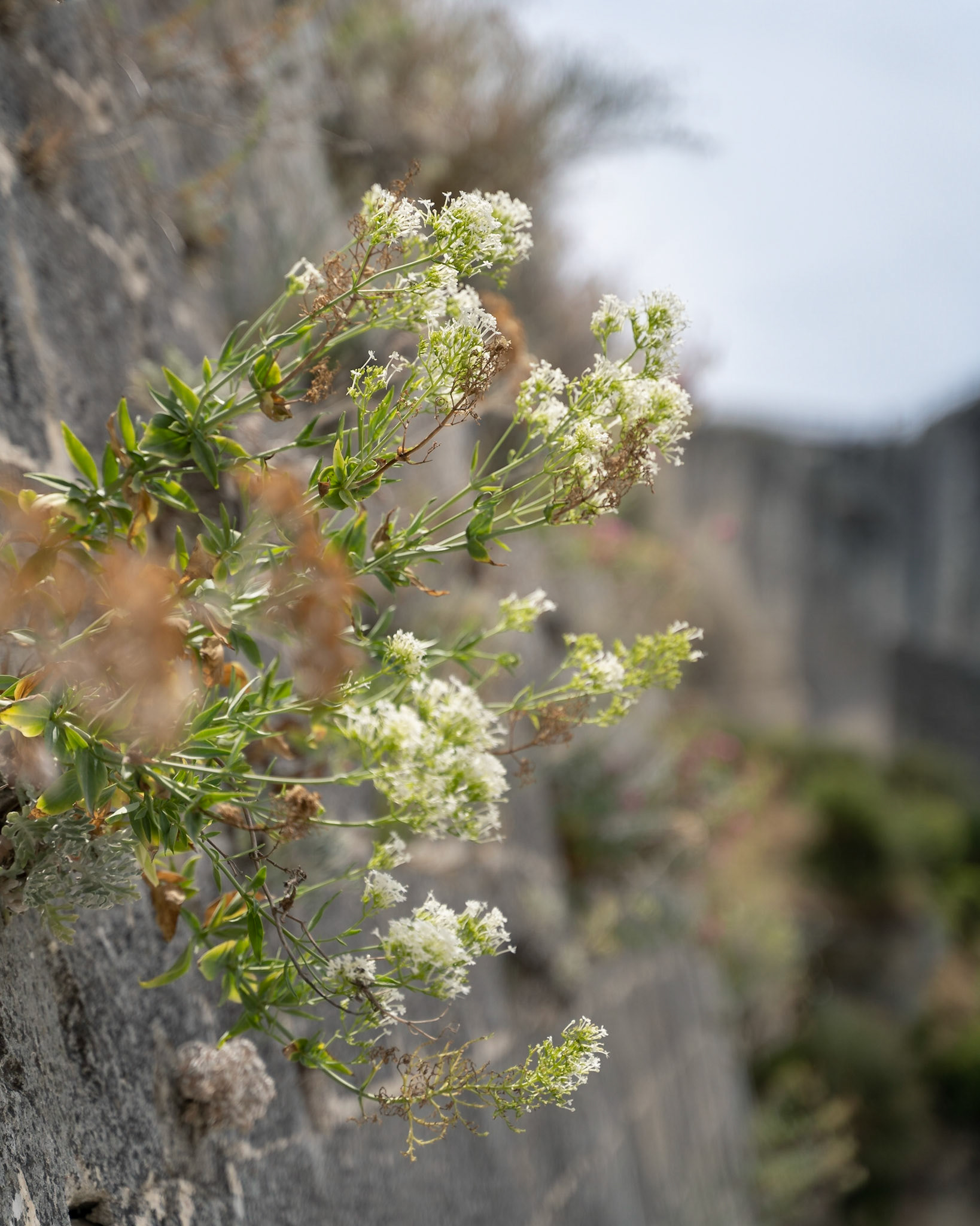 Les Baux des Provence