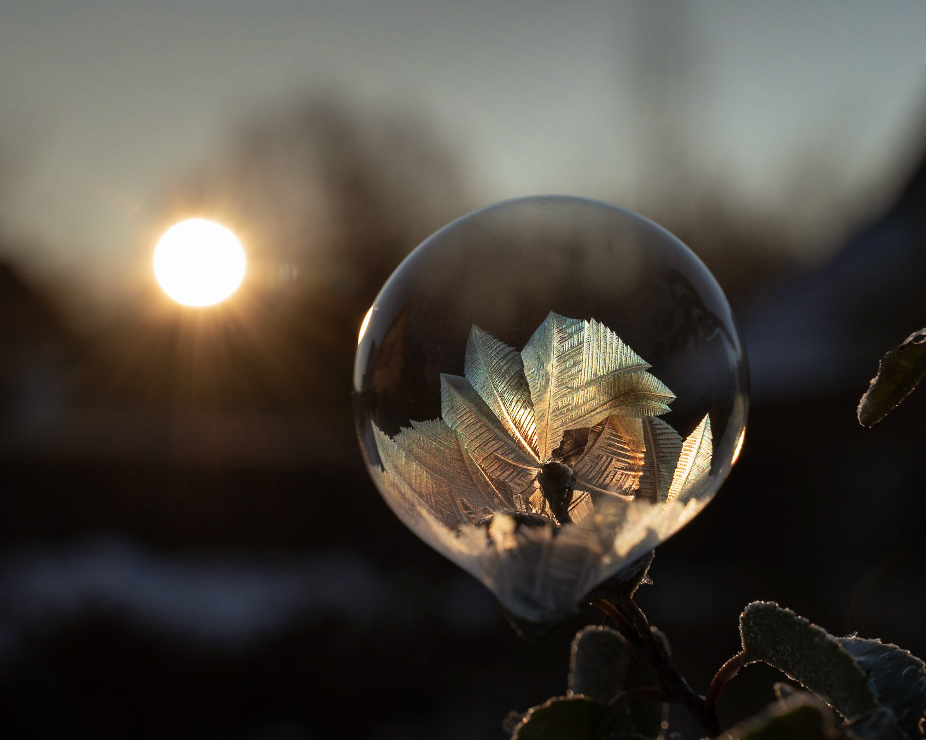 Frozen Soap Bubble With Ice Flowers