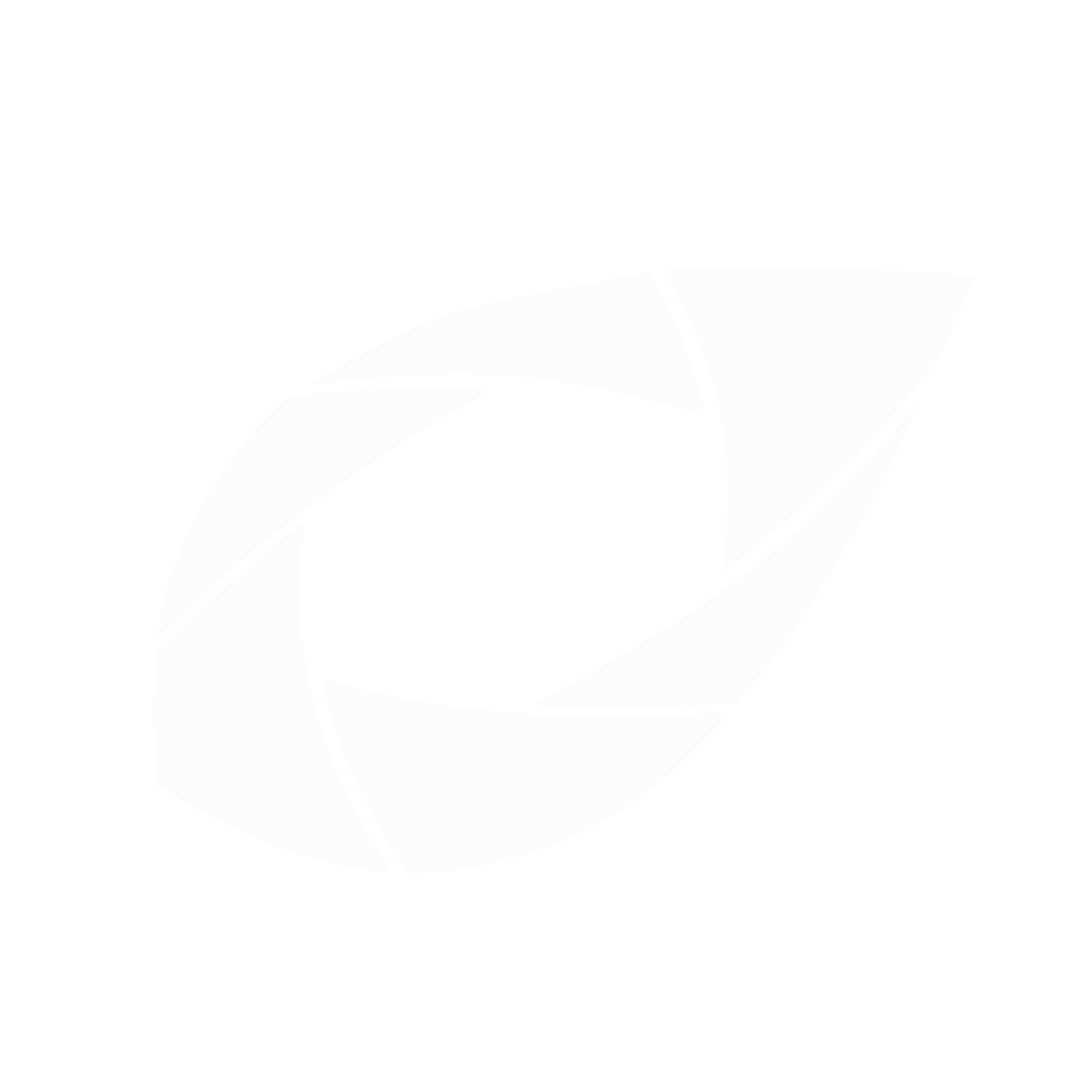 Jacaranda Photo