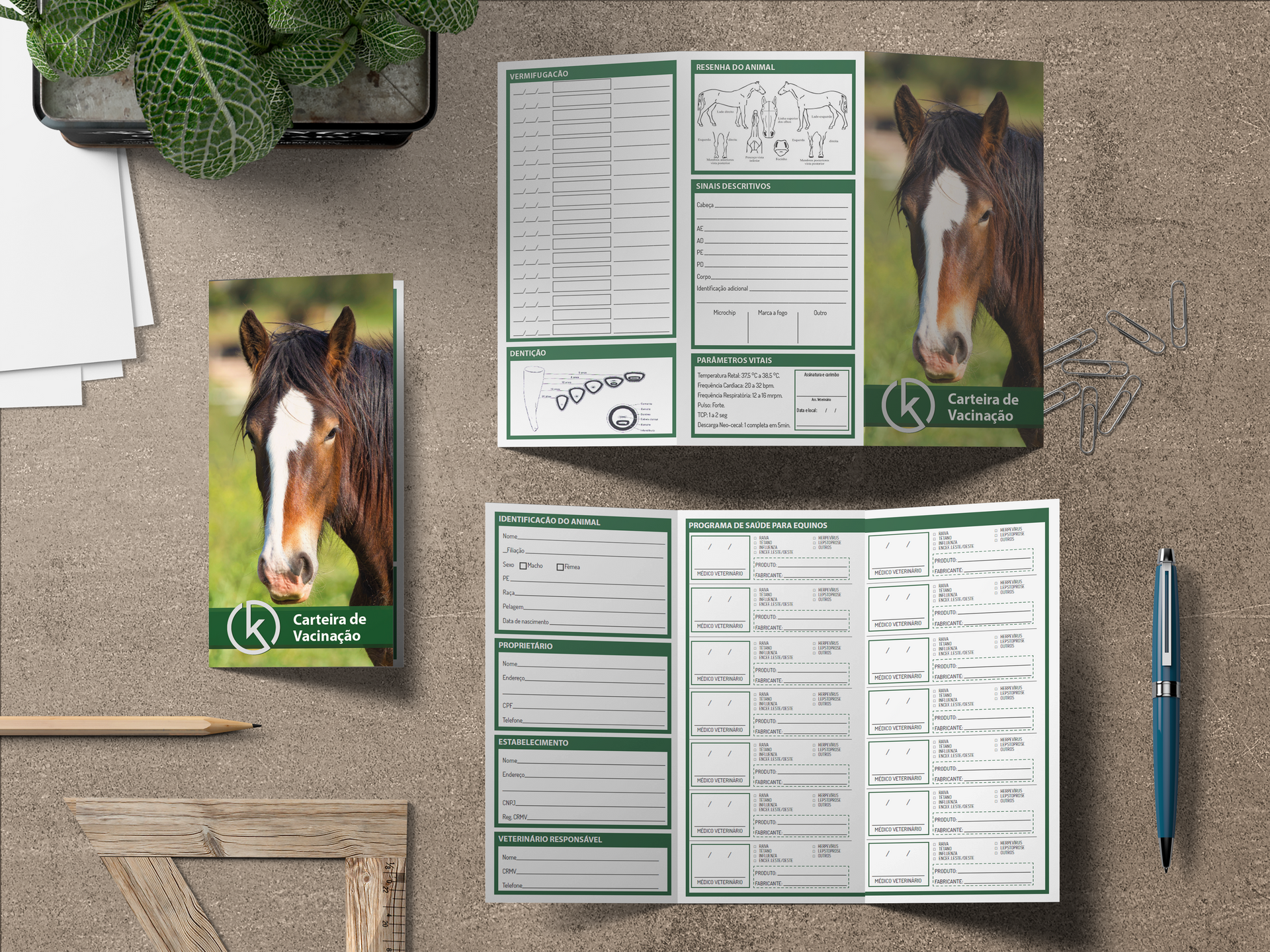 Cartão de Vacinação