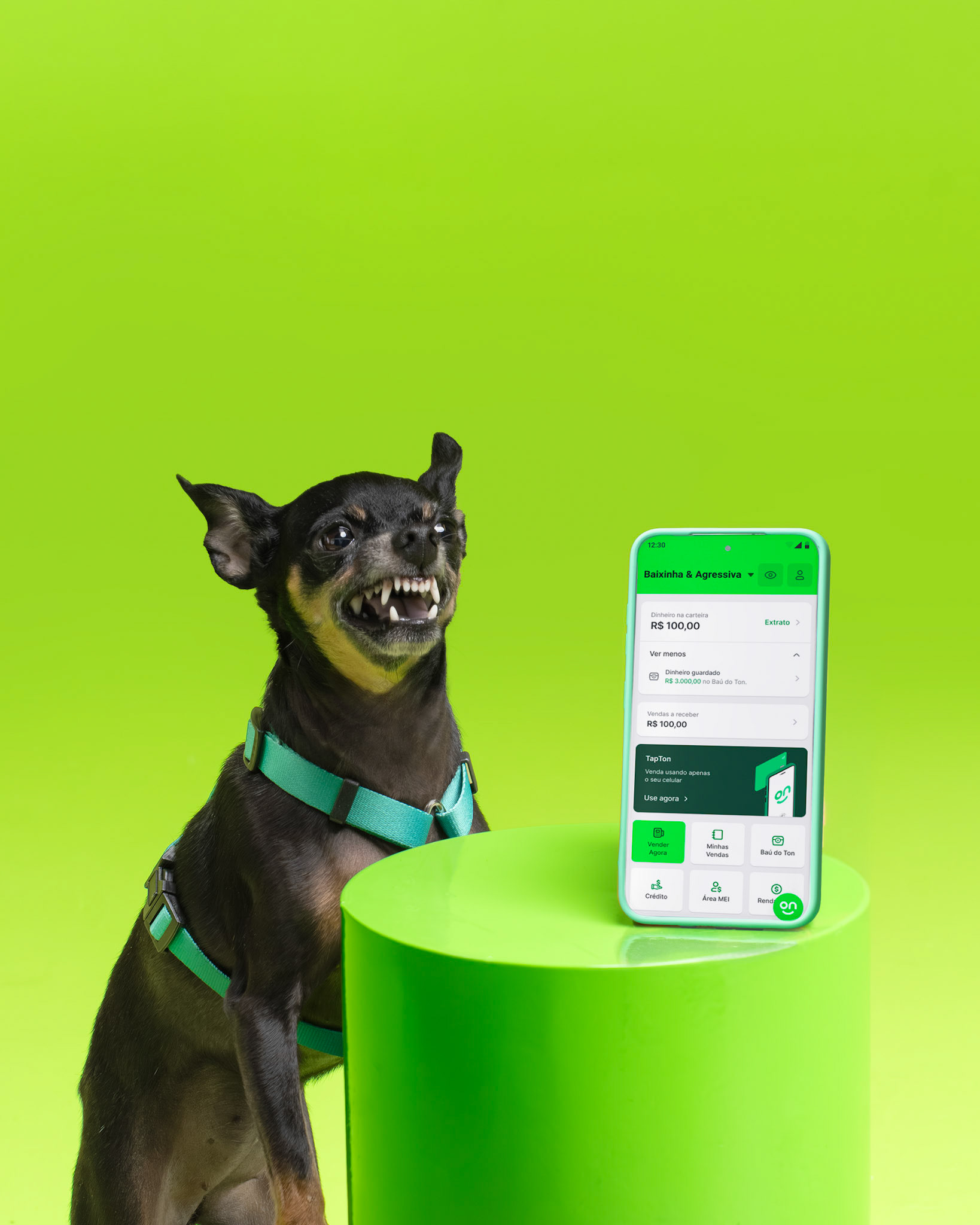 Stone - Pinscher