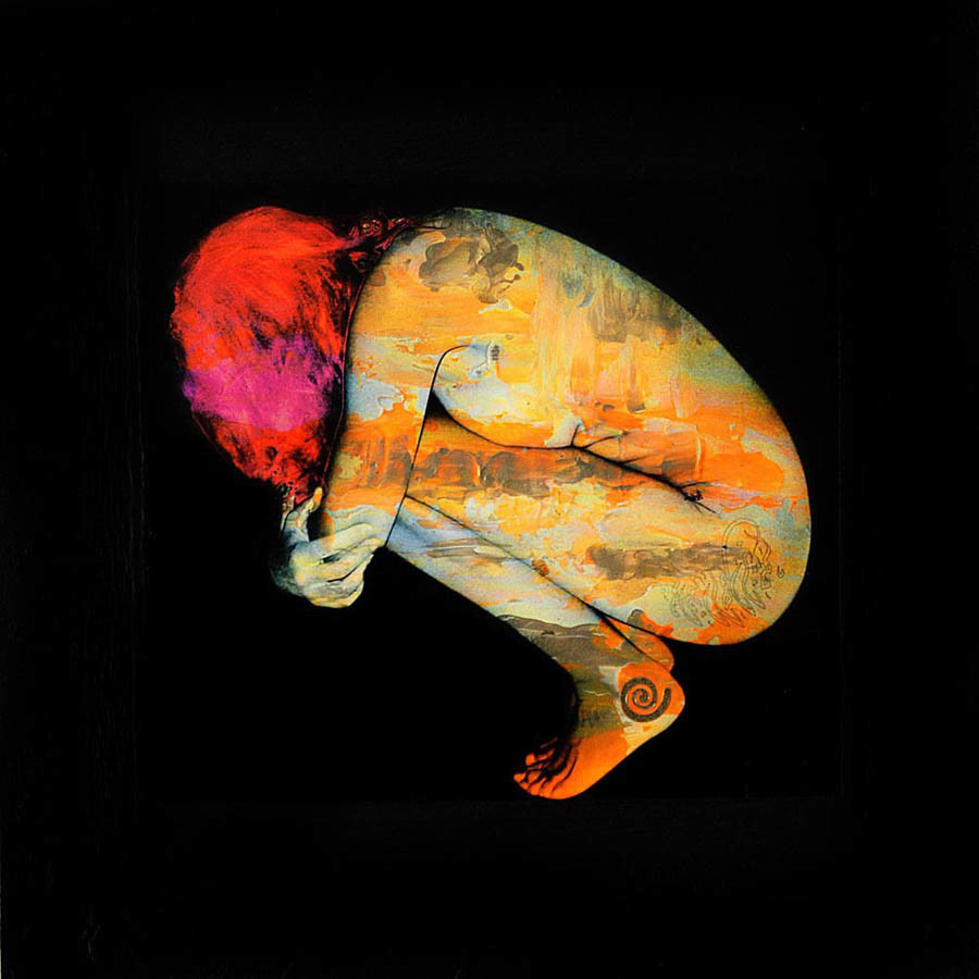 Shame | mixed media on board
